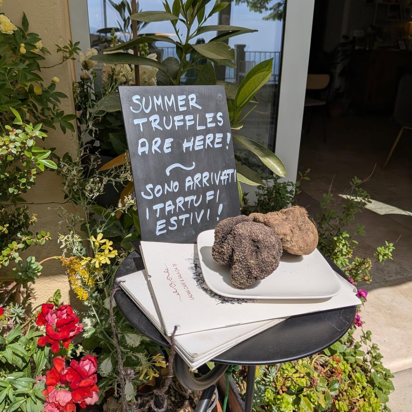 The taste of summer has arrived at Lalma. Meet the summer truffles shaved generously over our dishes, it brings a touch of magic to every bite...
📍 Find us in the heart of Montepulciano
⏰ Open for breakfast & lunch (closed Thursdays)
✨ #lalmacafe
☺️ #goodfoodisgoodmood
🍳 #breakfast
🥪 #brunch
🥘 #lunch