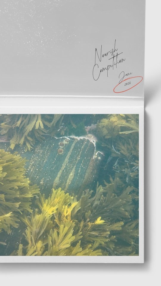 There's still time to enter our @nourishescape competition to get Two Tickets for the Price of One!
If you are tempted to come along and want to tempt a pal then this is your chance!
Head over to our @nourishescape account, check out the previous post and follow the instructions on how to enter.
Myself and @mara_ocean_adventures have put together a ridiculously beautiful retreat on the most gorgeous island. Tiree awaits... Who's coming?