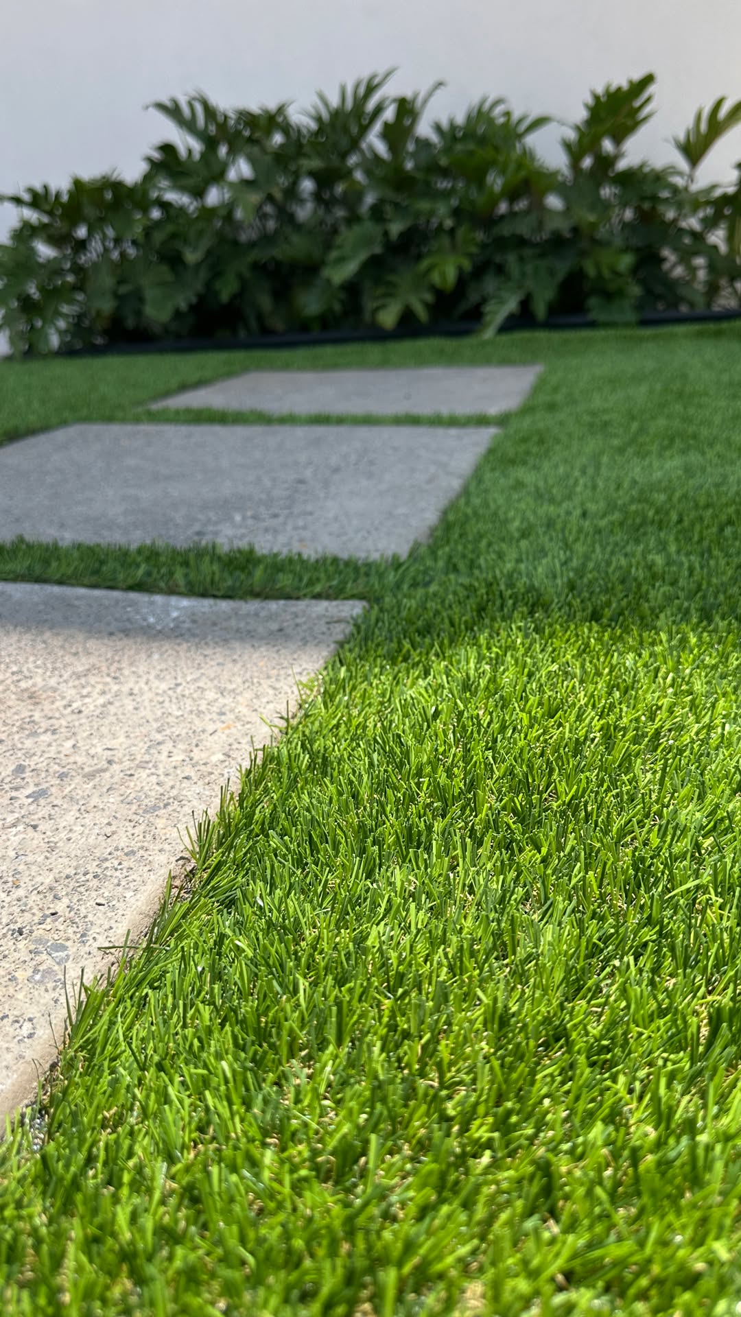 El pasto sintético transforma cualquier área en un espacio con apariencia natural y siempre verde los 365 días del año. 🌱
📲 Agenda tu cita por WhatsApp al 442 592 6041 y empecemos a proyectar tu nuevo espacio.
#CasaDecoracion #DiseñoDeExteriores #PastoSintetico #Paisajismo #Queretaro