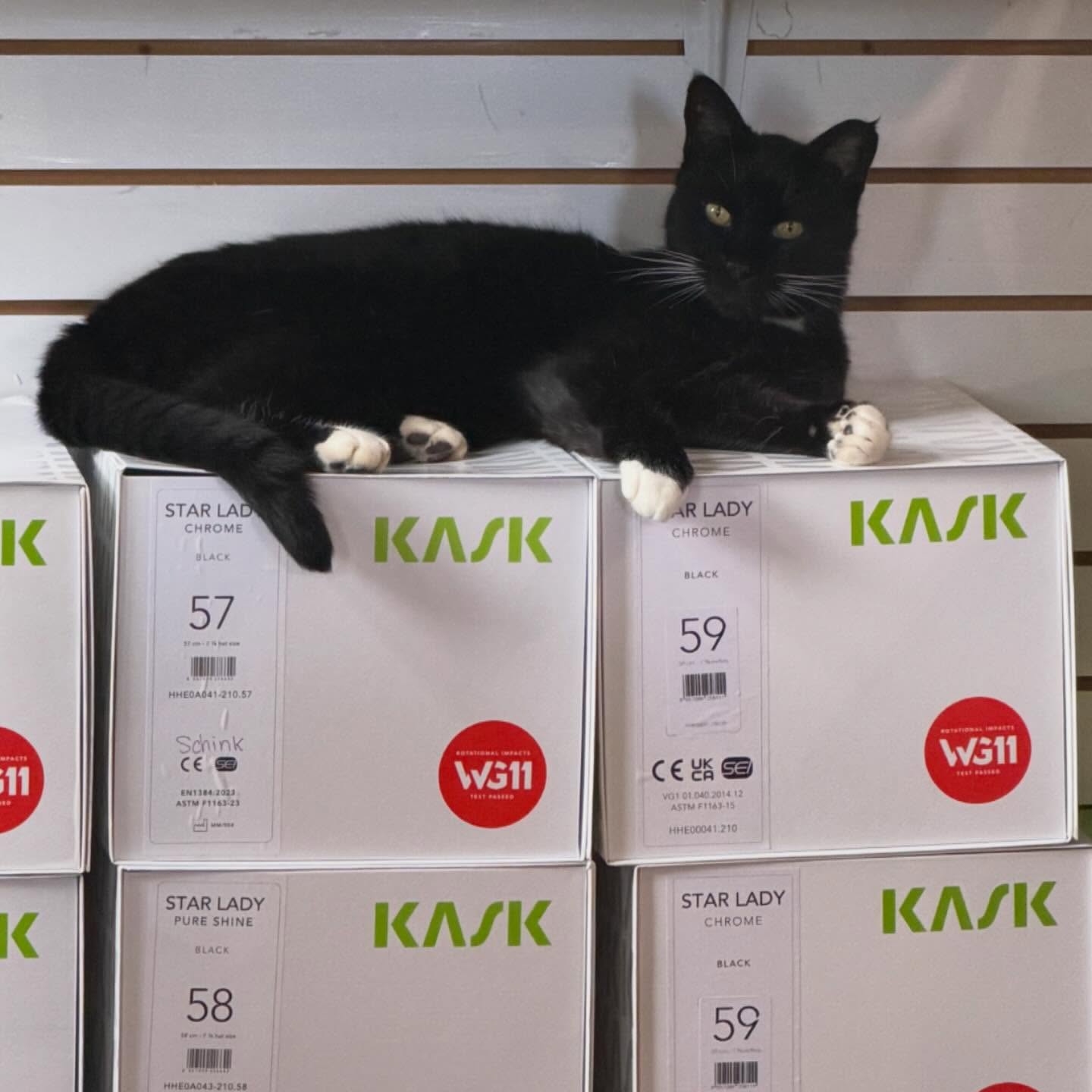 #EQs007 says #EquestrianConcierge is stocked up on @kaskequestrian. Come to EQ’s fitting lounge for your perfect size