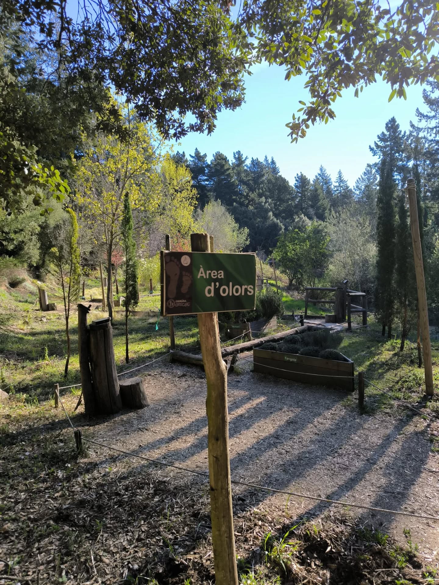 Vine a descobrir el Caminar Descalç… és tota una aventura! 🌿👣✨