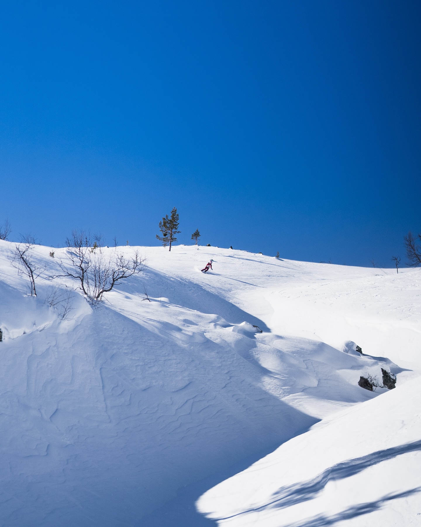 Pallas made me do it!
Tämä huhtikuu on selvästi aurinkoa ja lämpöä tulvillaan. Tarkoittaa myös pehmeitä laskuja ja helliä tunturihiihtorinteitä.
Nämä laskulinjat viikonlopulta yhdessä @suunto edustajien kanssa! Oli hyvä pohtia kehitystä ja uusia toimintoja siellä missä niillä iso merkitys.
#pallaksenpöllöt
#tunturiparatiisi
#pallastunturi
#pallas
#discovermuonio
#ourfinland