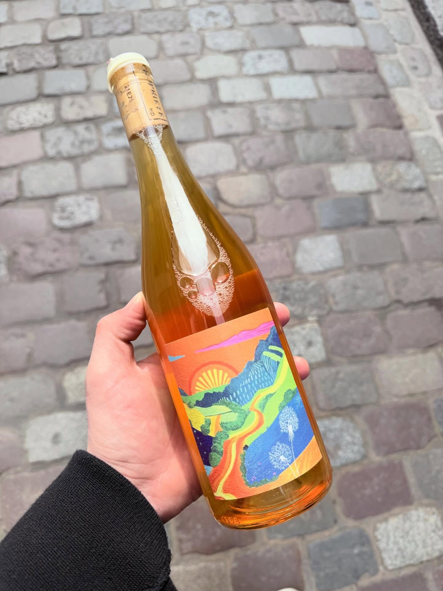 Superbe cuvée de Carine Joubert dans le Beaujolais 🧡
Elle propose ici une macération de chardonnay muscaté, qui sort clairement de ce que l’on a l’habitude de voir dans la région. Le cépage apporte de jolies notes florales, une belle fraîcheur et une texture légèrement infusée, très agréable à boire.
À retrouver dans nos 3 boutiques de Lille, Lens et Valenciennes 🍷
#lesvinsgourmands