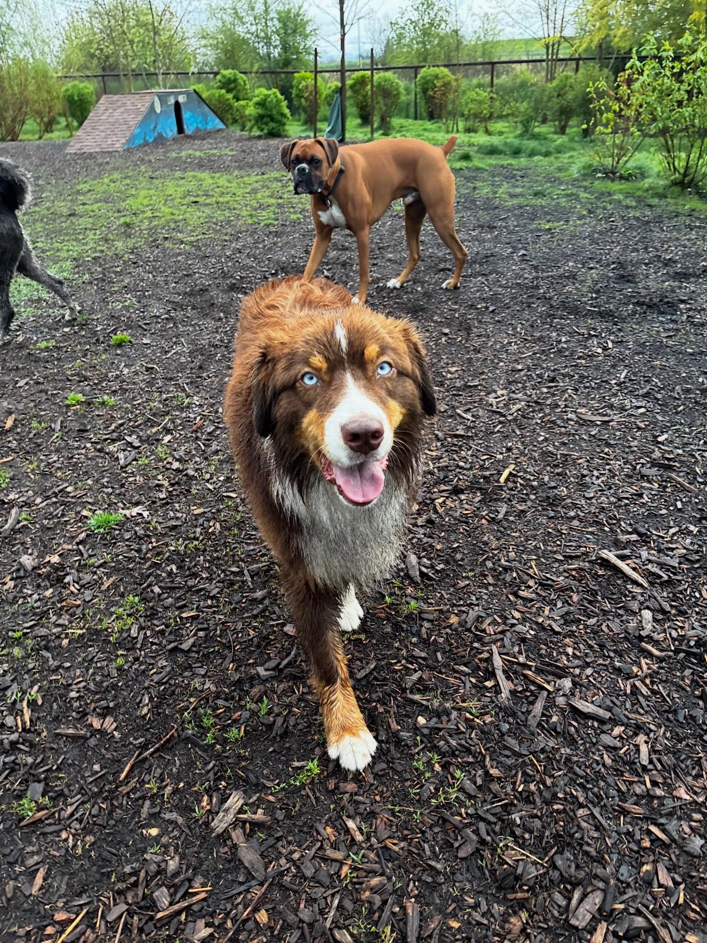 Happy Saturday! 🐾💕