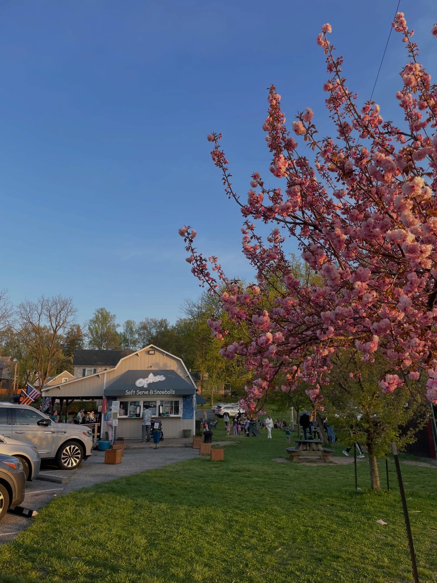The spring weekend we’ve all been waiting for is finally here ☀️🌸 Warm weather, sunshine, and the perfect excuse for ice cream!
We’re open 12–8 all weekend! Come treat yourself 🍦