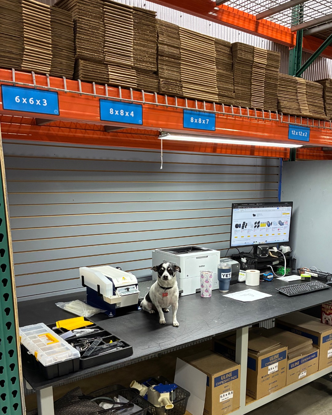 Meet Pepper, our newest Fur-fillment Specialist and official shipment guard down in Benton, Kentucky! 🐾
Keeping a close eye on every package, boosting team morale, and making sure nothing leaves without a tail wag of approval 📦
