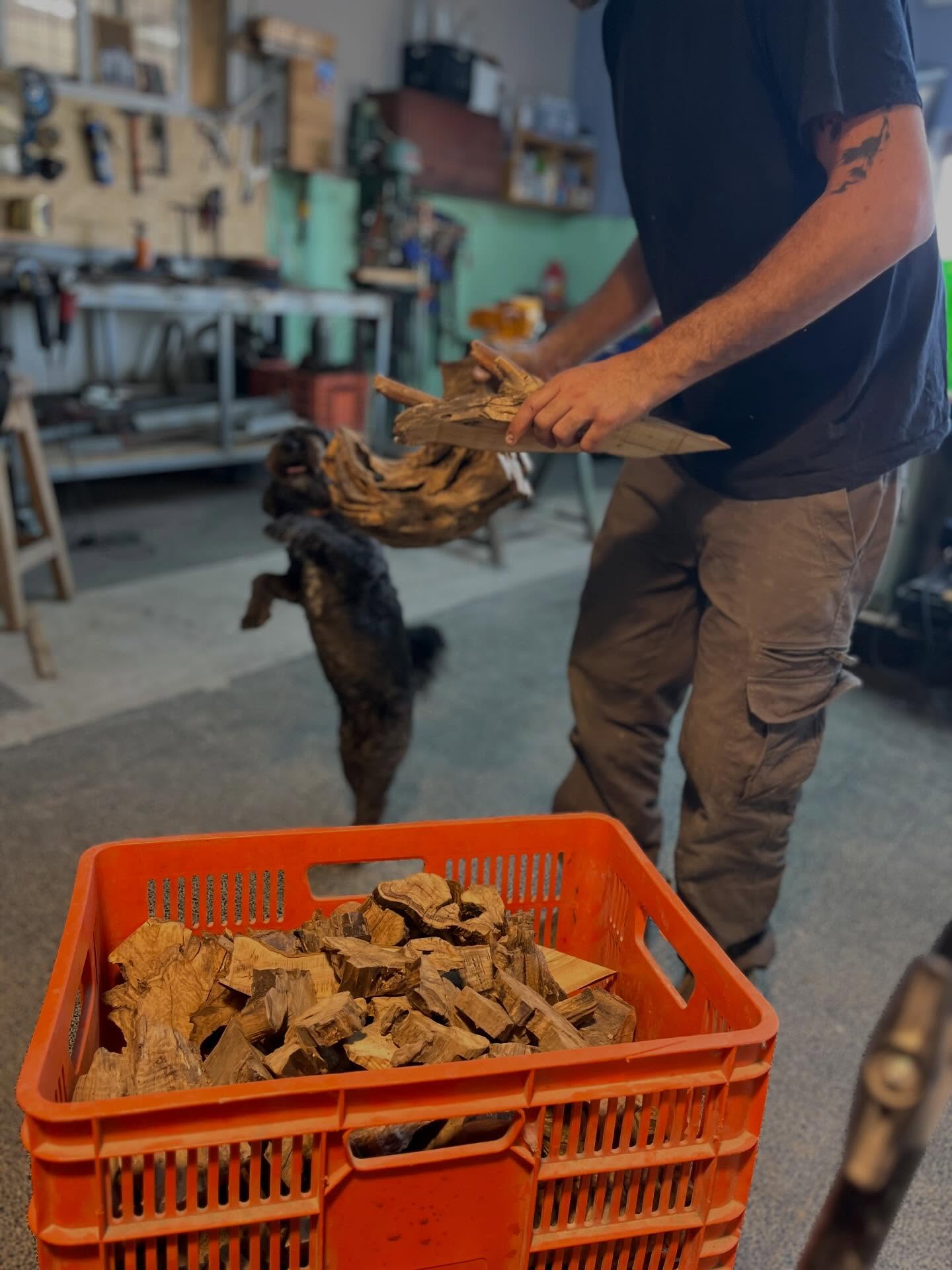 מגלם לארט 🦋 סטודיו @migdal_or_art מזמין אתכם לסדנאות אומנות ופיסול