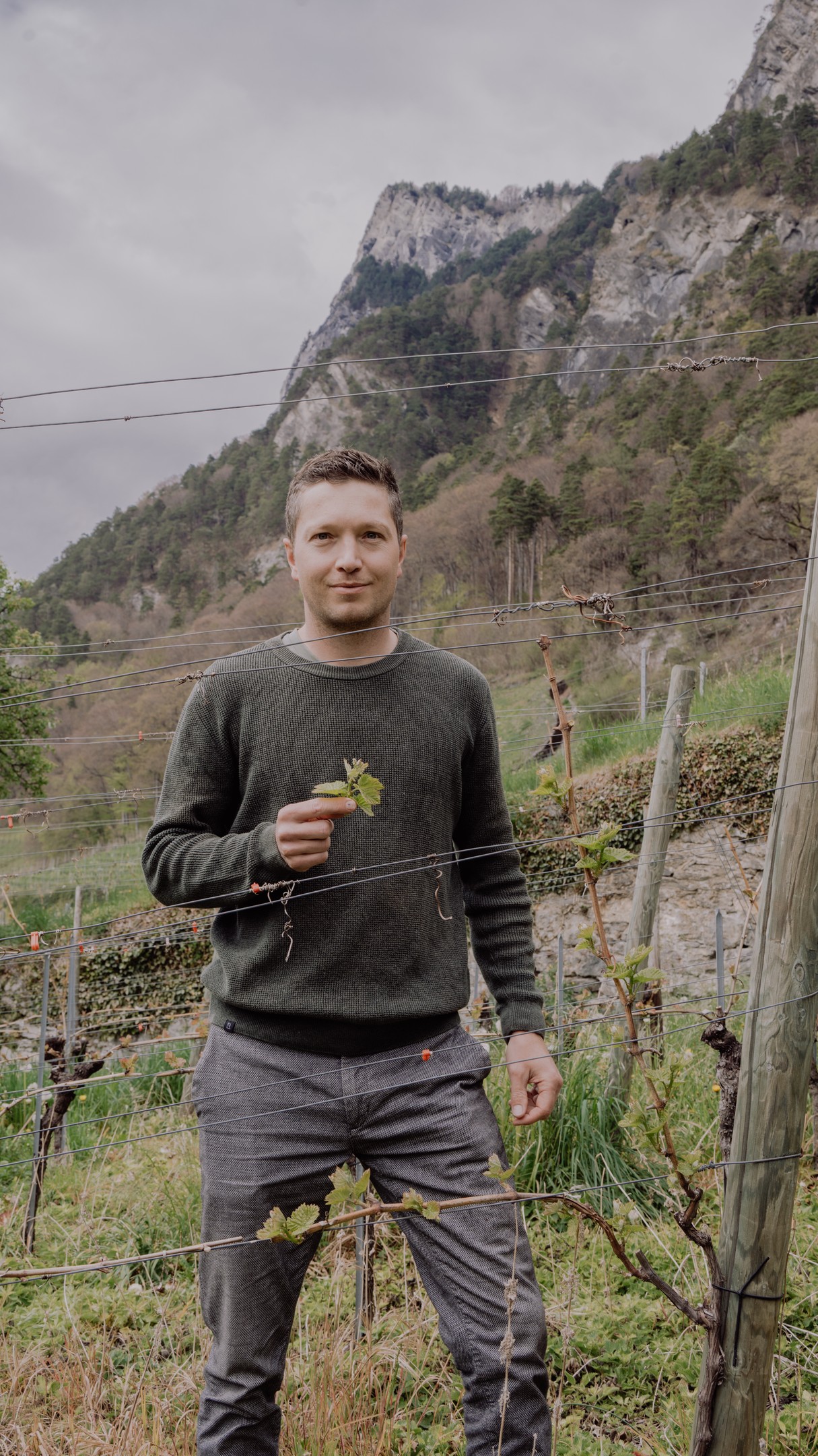 Der Frühling ist da! Durch den milden Winter ist der Austrieb eher früh aber schön gleichmässig. Auch die ersten Gescheine sind bereits sichtbar. Was kann da noch passieren? Naja, Frost zum Beispiel!
#WeingutromanHermann #Fläsch #graubuendenwein #wein #weinguthermann #weinberge #wein #schweiz #winzer #weinliebhaber#pinotnoir