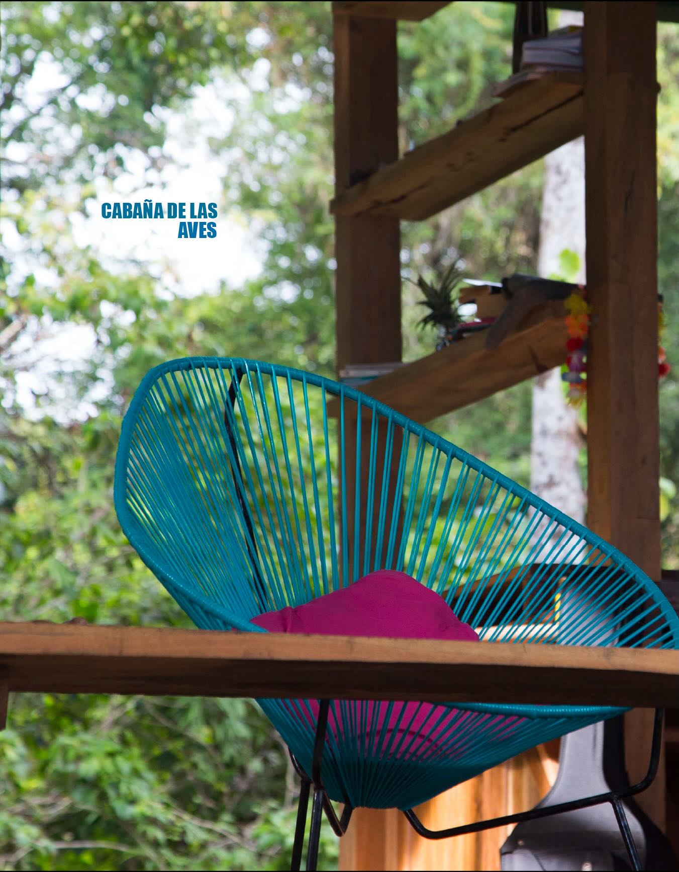 La cabaña de las aves 🦋
Una cabaña privada con dos habitaciones y baños privados. Una experiencia de inmersión en el bosque con la comodidad necesaria para una familia. Disfruta del sonido del viento, la vista a playa brava, y las duchas bajo los árboles.
#hotel #Nuquí #cabin #Colombia