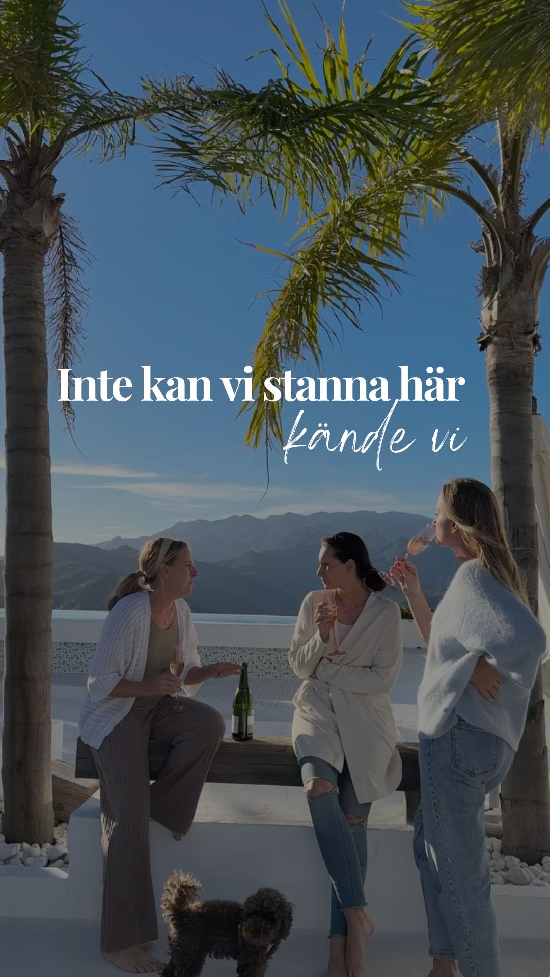 Och det var där i Spanien som hela upplägget för Insta & Ads Mastery byggdes ✈️🌴 Där våra expertiser får mötas i vårt gemensamma driv. Vilken grej?!
Idag har vi haft sista gruppcoachningen med deltagarna i Insta & Ads Masterys pilotomgång.. Det kommer kännas konstigt och tomt att inte träffa det här gänget varje vecka 🥹🫶🏻
((Som tur är har vi en avslutande FINAL imorgon och en check-in om två veckor så helt än blir dom inte av med oss haha 🩷))
Men det här visar verkligen på att om du har en vision och omringar dig med personer som delar ditt varför, ja, då kan man skapa jäkligt roliga saker ihop!!
Och gällande FINALEN av programmet så kommer du imorgon att få ta del av våra fantastiska deltagares sista utmaning i programmet! Håll utkik i story för detta!! 👀🥂