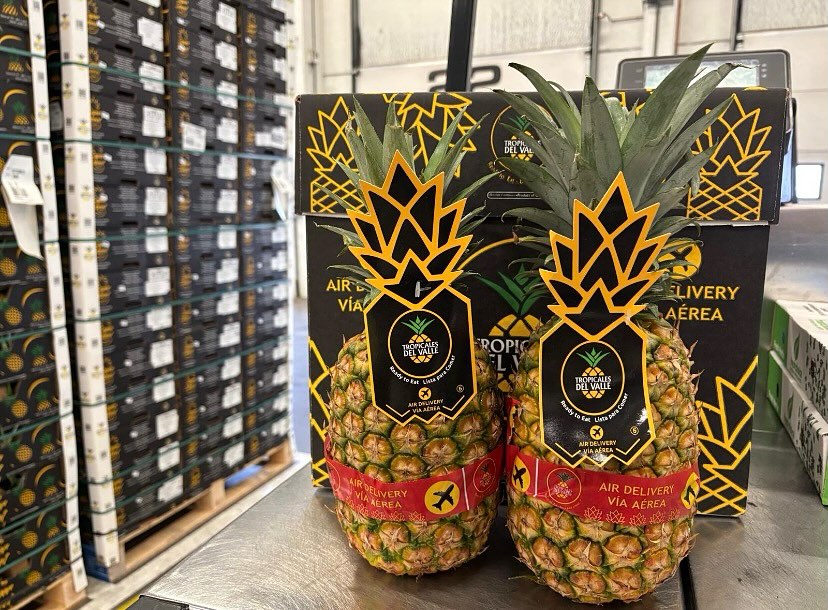 Flug-Ananas, extra süße #flugananas 🍍🍍🍍