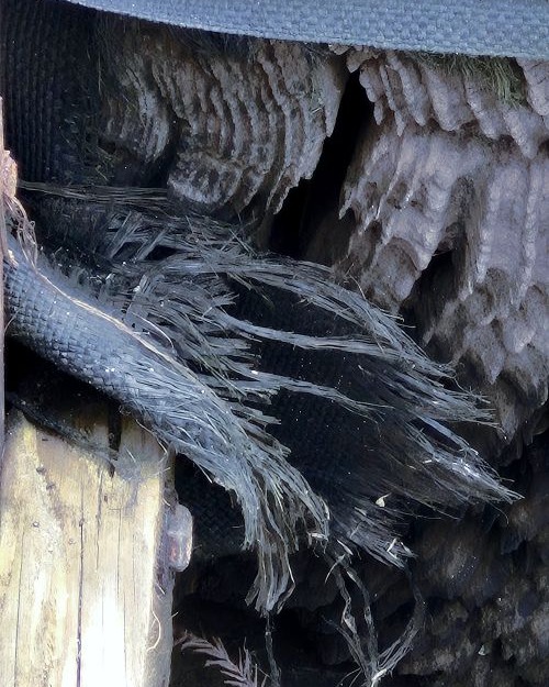 I had surgery about a month ago, but before the crisis, I went out one overcast morning with Raven Storm looking for fun textures. Sought out spaces where rusty metal meets weeds. Collected a ton of images from which to make "finder compositions." It took a while to have enough energy during recovery to pull this folder up for editing, but now they've been processed. I'm quite happy with a few of them. It's fun to look for compositions right under our noses and push them to see where they want to end up. There are about 20 images I thought were worth sharing. I hope you'll check them out!
Texture Foraging. Field trip photographs edited in Gimp by Katty Pulsar and Neil Oldman for Daydream Misfit.
https://www.daydreammisfit.com/texture-foraging