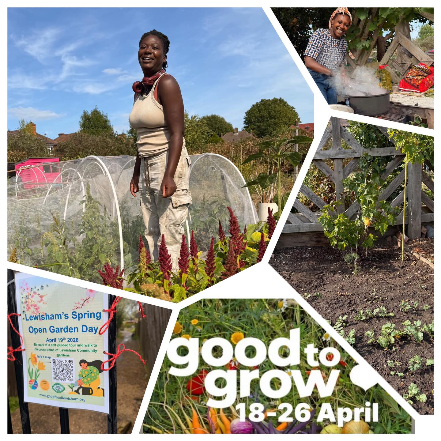 Coco Collective have grown from strength to strength with a highlight of starring in last years gardening exhibition at the British Library Unearthed
The Lewisham Black led gardening group is welcoming and hosts weekly volunteering sessions at their 2 sites Bellingham and Catford Weaver Estate allotments. Featuring in the Lewisham Spring open gardens and Capital Growths Good To Grow event series of events. There are so many choices to get involved with food growing in the borough. Please check out Lewisham’s Community Garden page for more details and map link in Bio above⬆️