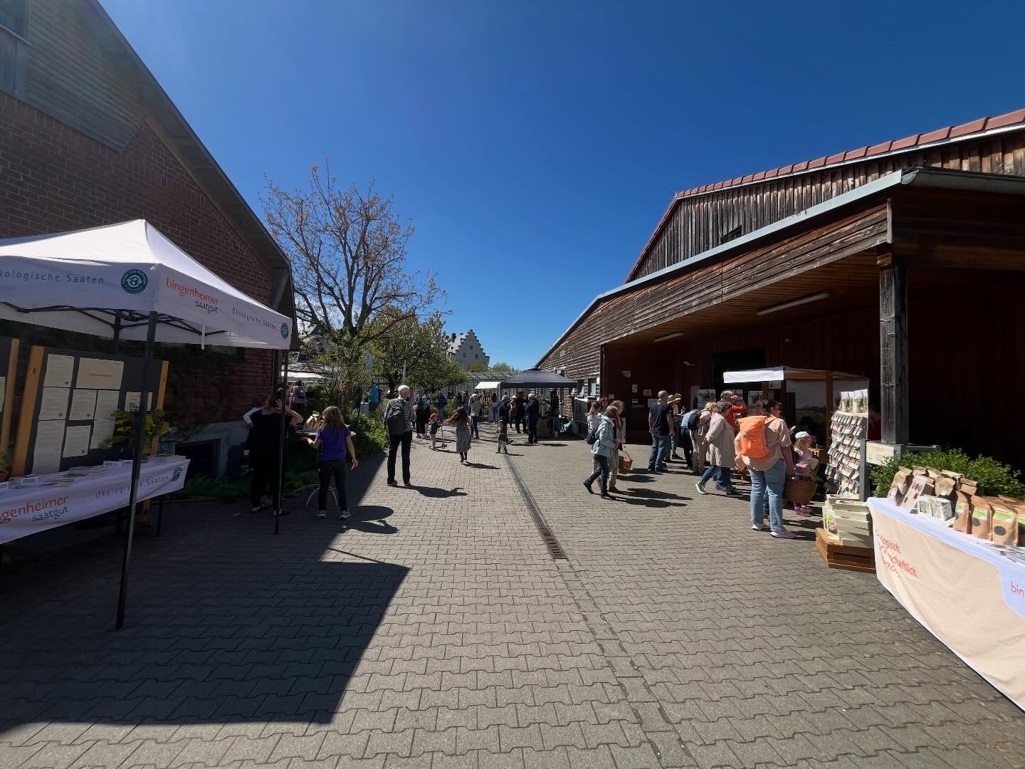 Wir waren beim Bingenheimer Pflanzenmarkt und es war so schön!! Wir haben schöne Pflanzen gefunden und die Kinder haben das Saatgutquiz gerockt. :) #bingenheimersaatgut