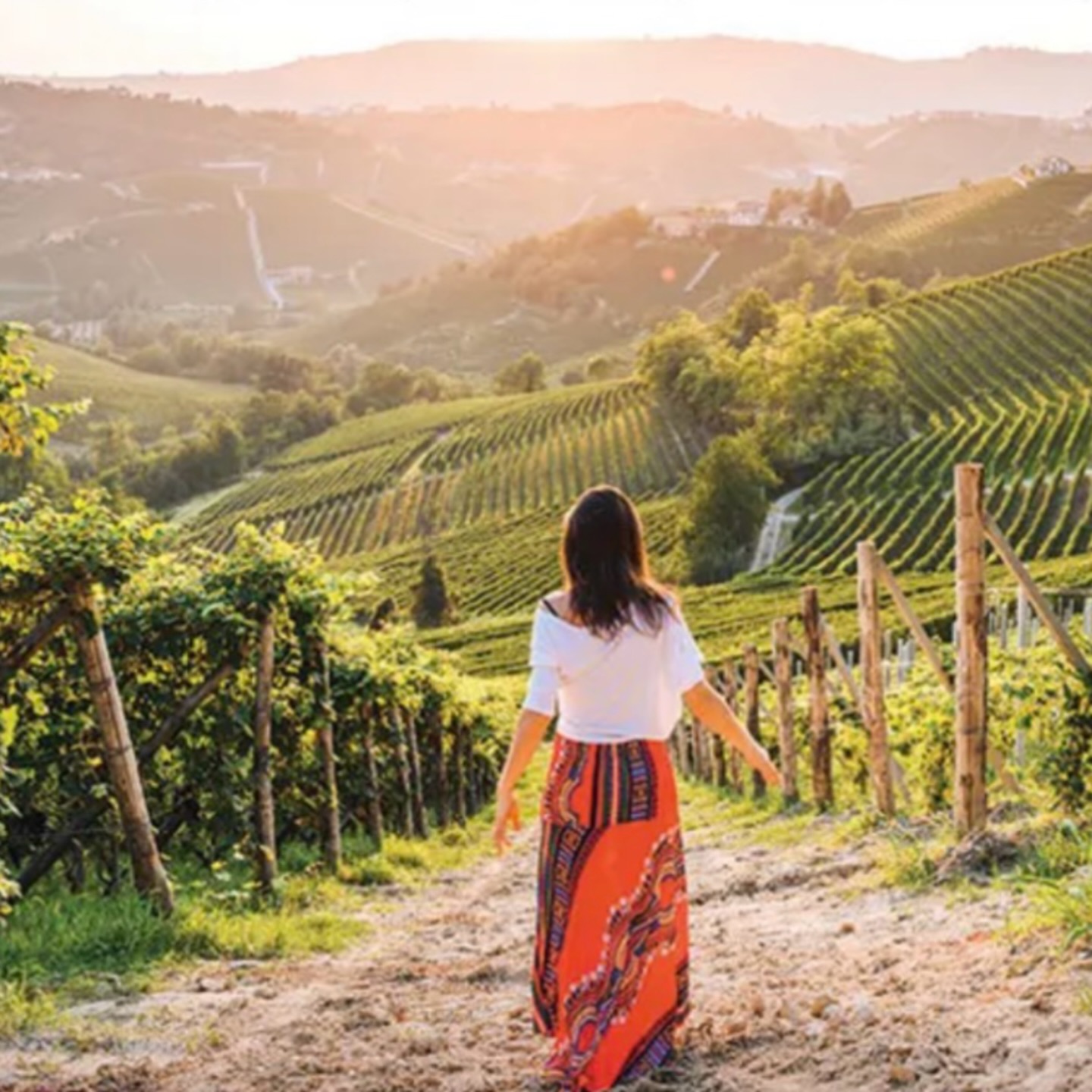There is something beautifully honest about an unoaked wine.
In Italy, unoaked reds are those that haven’t been shaped by oak — no barrique, no heavy intervention — just grape, land, and time. This is how wine was made for generations. Fresh, vibrant, and deeply connected to everyday life.
Here in Piemonte, this style is part of who we are. It’s the wine of long lunches, of tajarin with ragù, of simple bruschetta on the terrace.
That’s why being part of Decanter’s blind tasting of Unoaked Italian Reds feels so meaningful to us. To see our Dolcetto recognised with 90 points is something we hold with both pride and humility.
Dolcetto is often overlooked, but it is one of Piemonte’s most historic grapes — resilient, native, and perfectly adapted to our land. In a world looking toward sustainability, we believe wines like Dolcetto are not just part of our past, but essential to our future.
This is the wine we drink. This is the wine we believe in.
.
.
#italianwine #italy #unoakedredwine #piemontewine #wine
