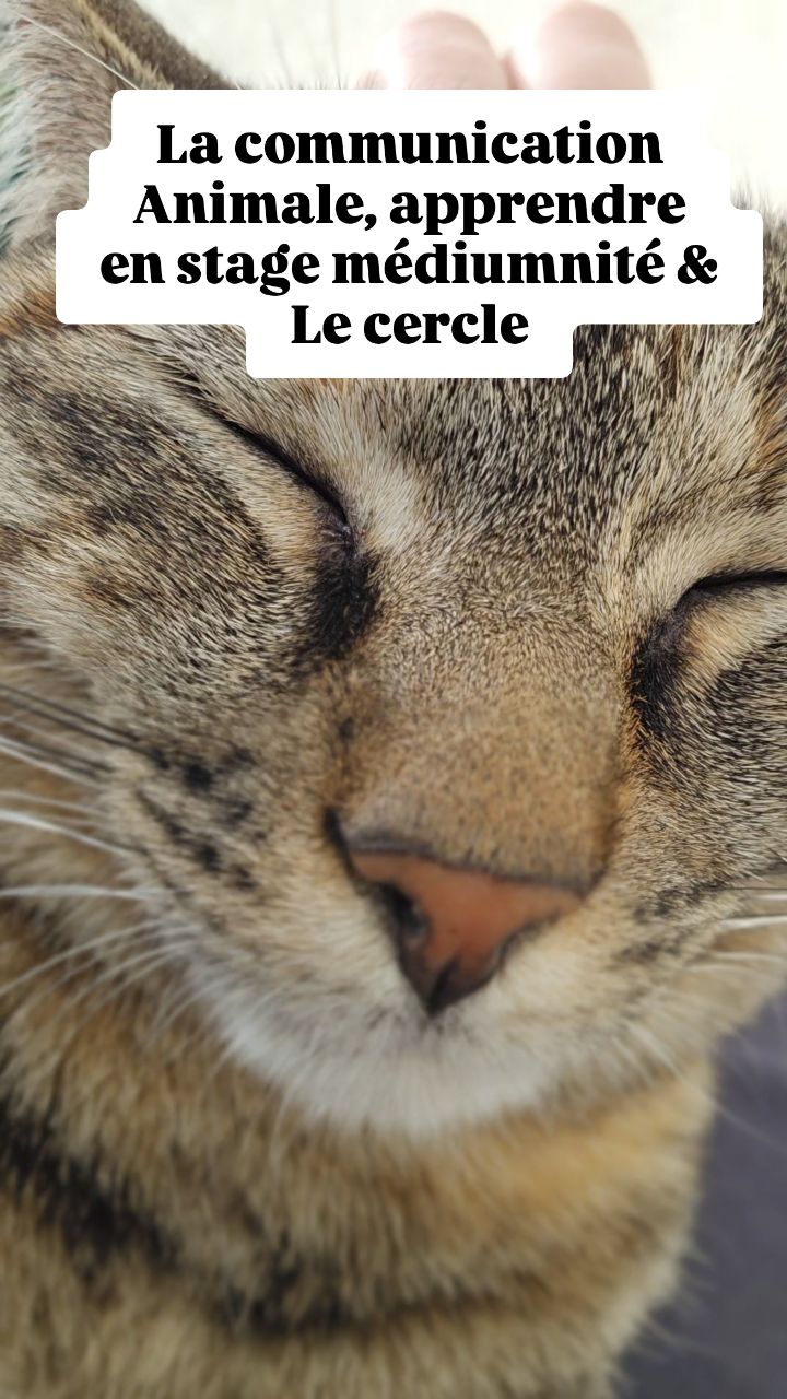 #communicationanimale
#mediumnite
#stagemediumnité
#azra_energies
C'est aussi simple que le reste ! A venir découvrir au sein du Cercle ou en stage!