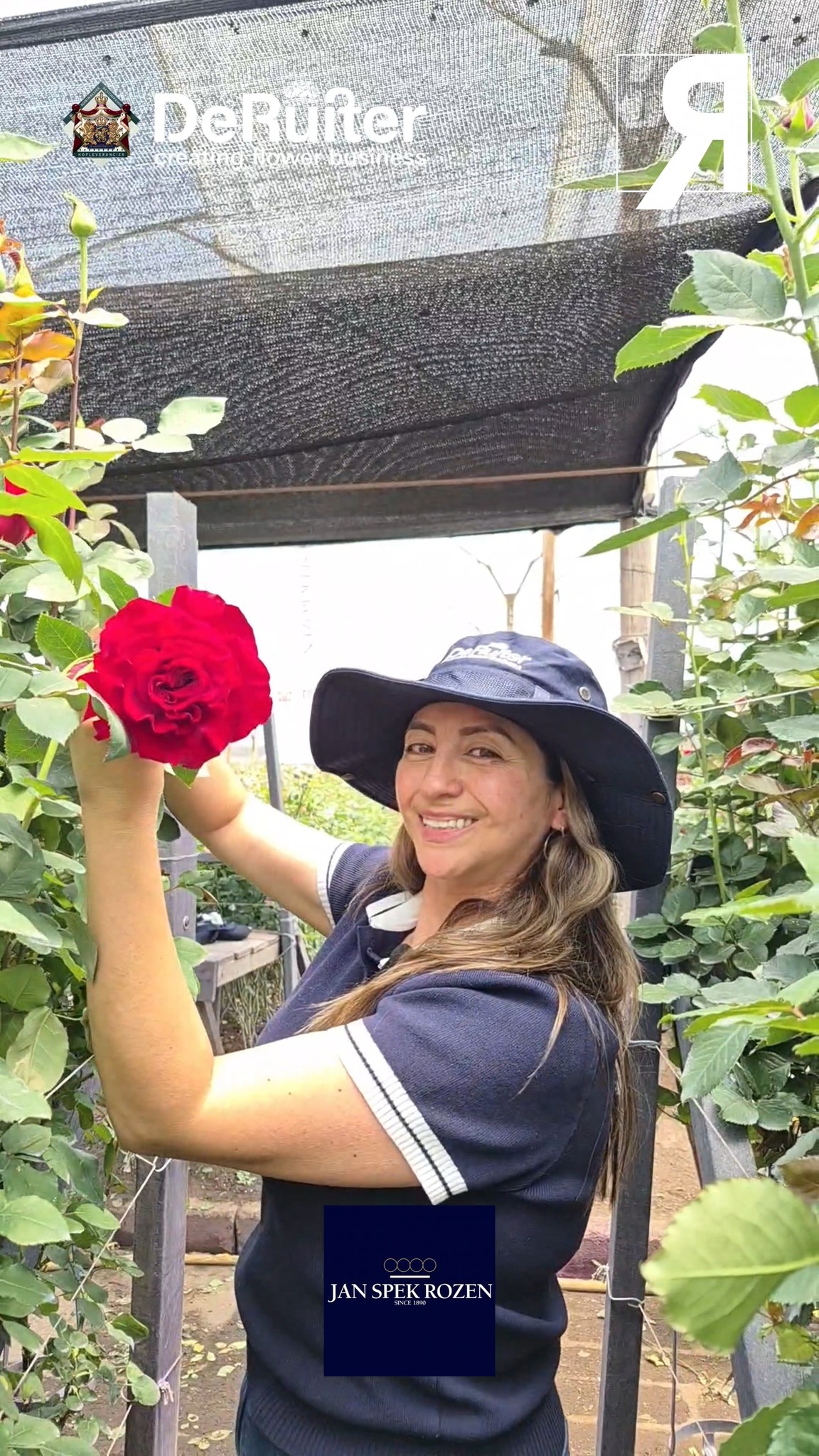 ON THE GROUND 🌹
We visited our friends at De Ruiter Ecuador to take a closer look at the varieties shaping today’s floriculture landscape.
From genetics to performance, each variety reflects a clear direction: consistency, quality, and adaptation to an increasingly demanding global market.
Beyond aesthetics, these spaces allow us to understand how breeding decisions translate into real value for growers, exporters, and buyers.
Because the future of the industry doesn’t start in the market —
it starts here.
At Ecuador y sus Flores, we continue documenting what drives the sector from the ground up.
#DeRuiter #Floriculture #RoseBreeding #FlowerIndustry #EcuadorianFlowers #GlobalFlowers #EcuadorYsusFlores