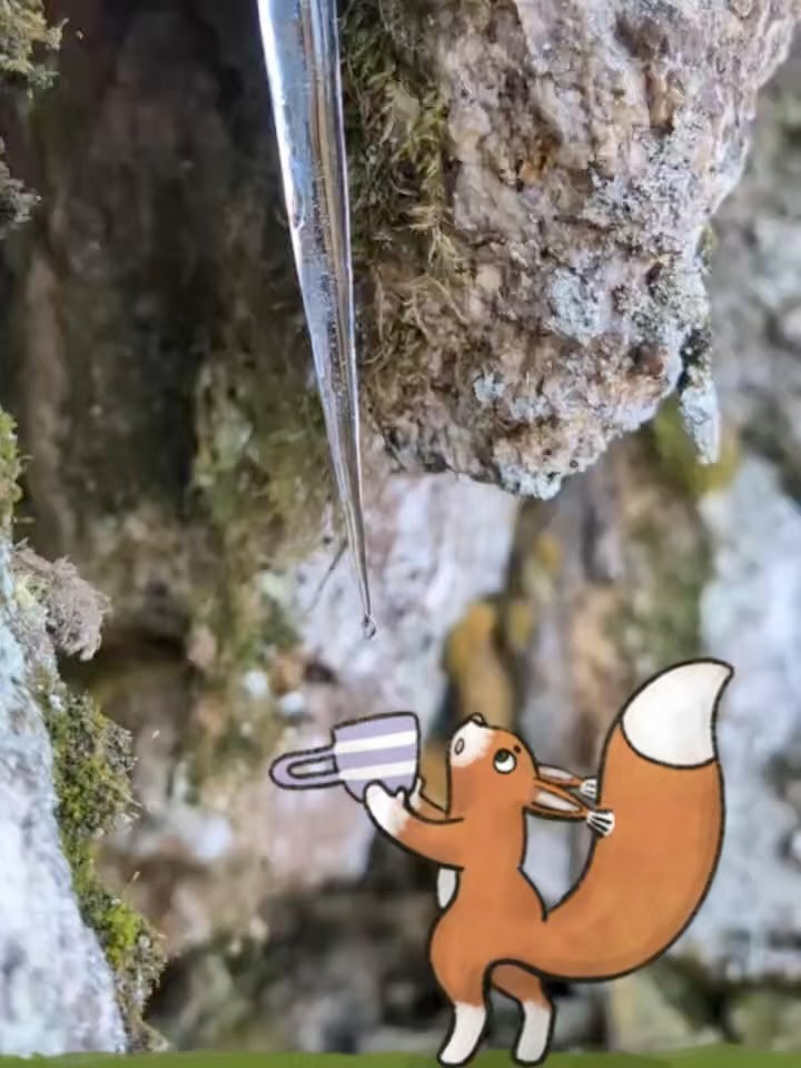 Forest creatures: unseen, yet living there, carrying on their secret, private lives…
#characterdesign #forestcreature #finnishforest