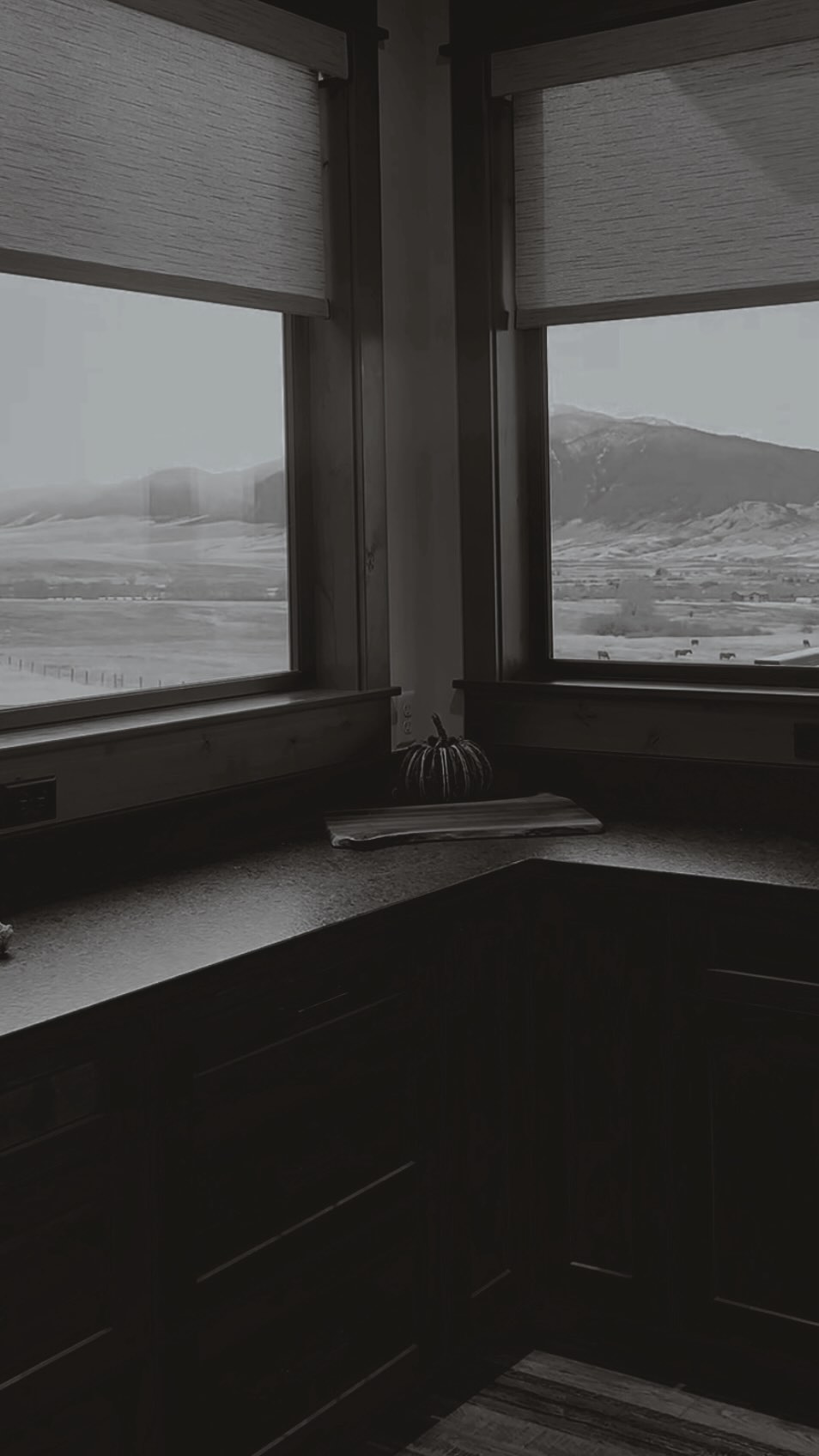 Soft mornings. No harsh afternoons.
Just light that knows exactly what to do. And when to let those mountains shine.🏔️
Motorized shades programmed to follow the sun year-round.
#1889interiors | #screenshades #hunterdouglas #motorizedshades #customwindowtreatments