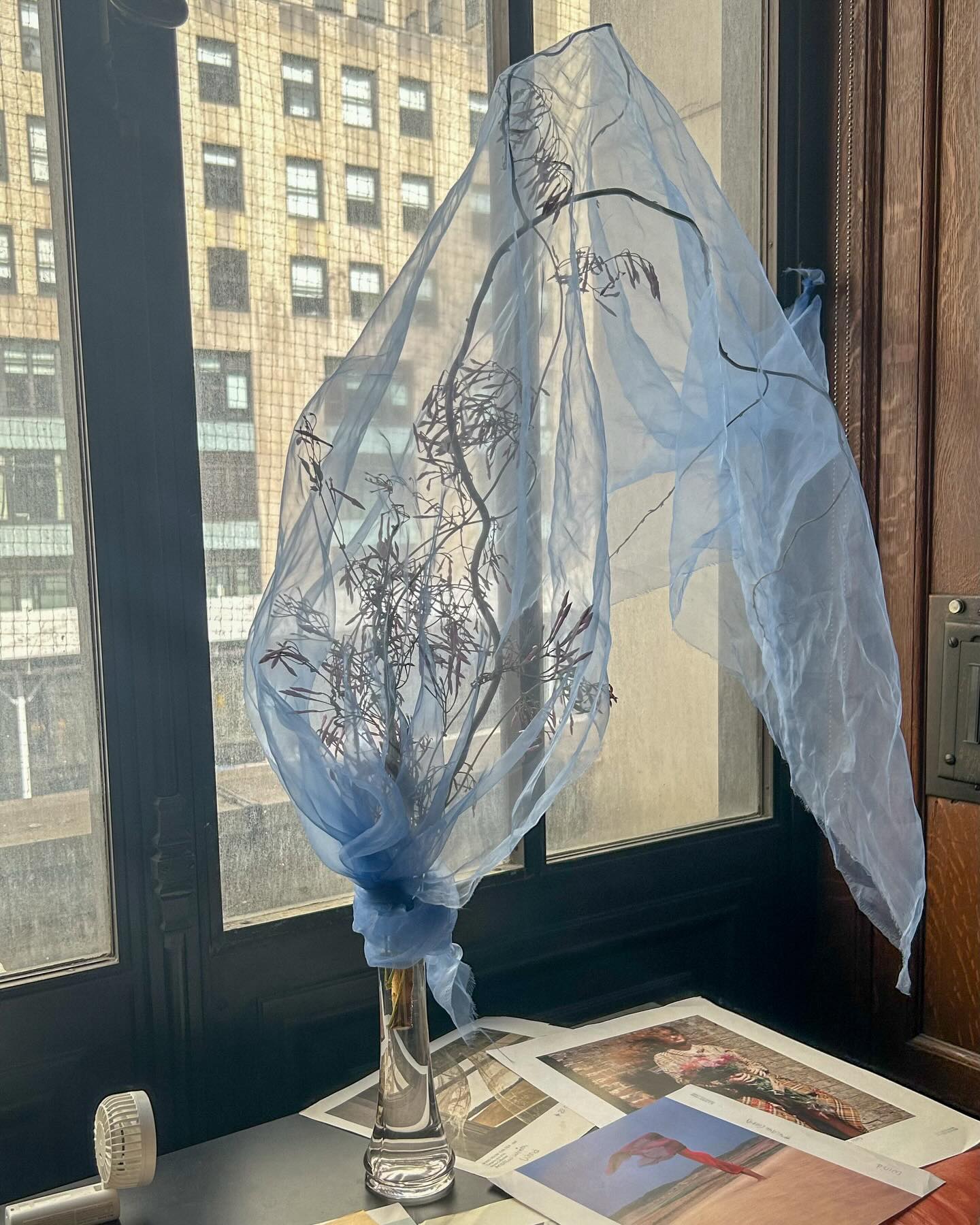 Ropes of jasmine, dried willow branch, a handheld fan, and the most beautiful Japanese organza 🌬️
Final case study of floral arrangements inspired by folders at the @nyplpicturecollection
Referencing:
📁 Drapery on Figures
📁 Costumes – Veil
📁 Wind
📁 Textures
📁 Dance Contests