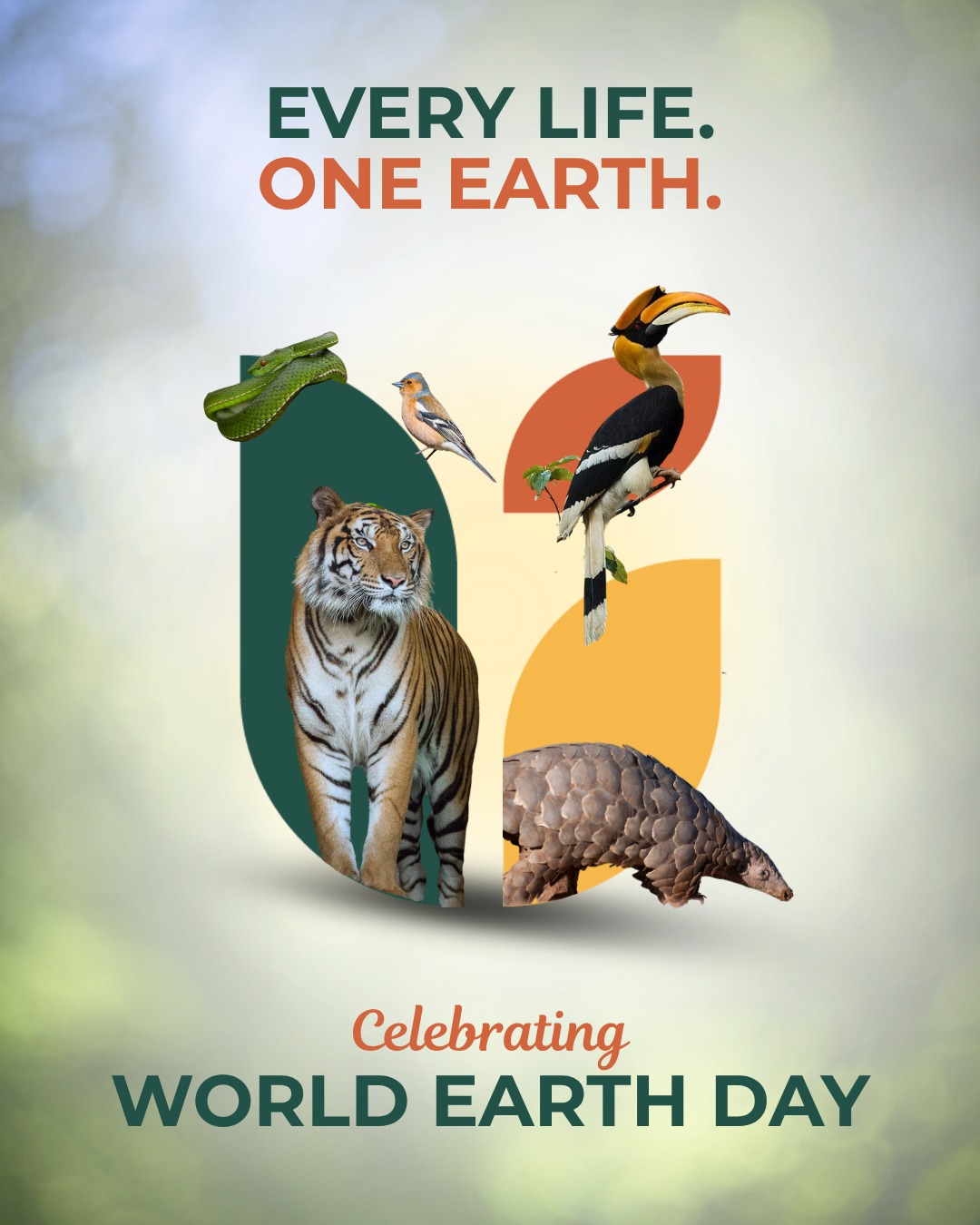 This Earth Day, we take a moment to reflect on the kind of world we are building and the lives it must continue to hold. We are not alone here. Every life, wild or familiar, is part of a shared and living ecosystem.
At Upadhyaya Foundation, this belief shapes our work. As a philanthropic foundation, we collaborate with NGOs across the country and have initiated coalitions like the Snake Conservation Coalition - Western Ghats (SCCWG), working to reduce human-animal conflict and promote coexistence in one of India’s most biodiverse regions.
As human spaces expand, such conflicts are becoming more frequent, making it essential to build systems that protect people while also respecting wildlife and their habitats. This requires not just intervention, but awareness, community engagement, and long-term ecological thinking. To celebrate Earth Day is to recognise this interdependence. It reminds us that coexistence is not a one-time idea, but something we practice through everyday choices shaped by care, kindness, and compassion.
As we move forward, the question is not just how we protect the Earth, but how we make space for all life within it.
#UpadhyayaFoundation #EarthDay #Coexistence #Compassion #Kindness #SharedPlanet #Biodiversity #AnimalWelfare #ForThePlanet