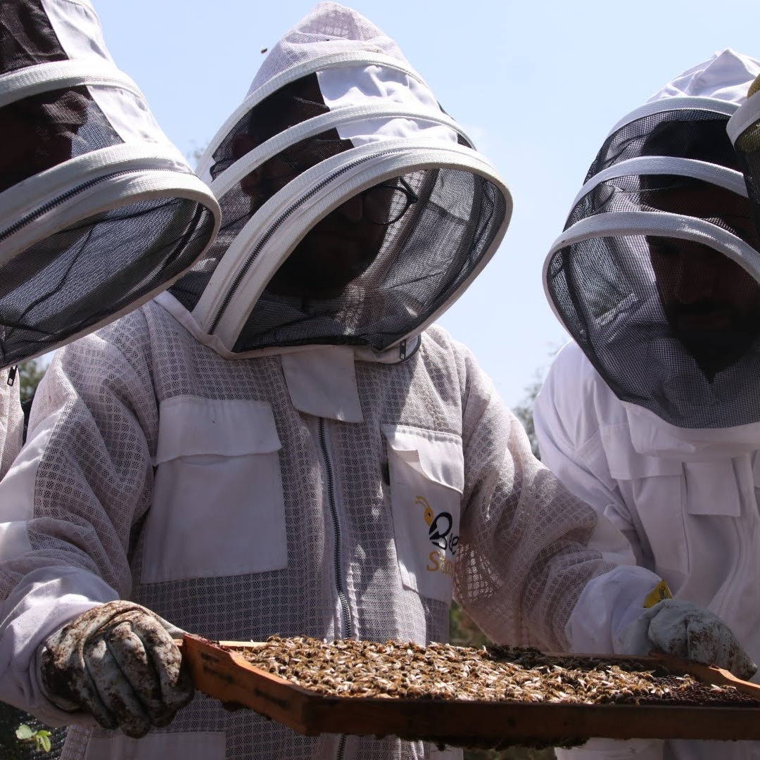 יום פעילות מלמד ומשמעותי בקורס הדבוראות השיקומית לבוגרות ובוגרי תוכניות השיקום בחווה שלנו 😊
תודה לדגנית ואלמוג שמובילות את הקורס במקצועיות ונעימות 🌿🌿🌿
@almog.ts @eldardganit