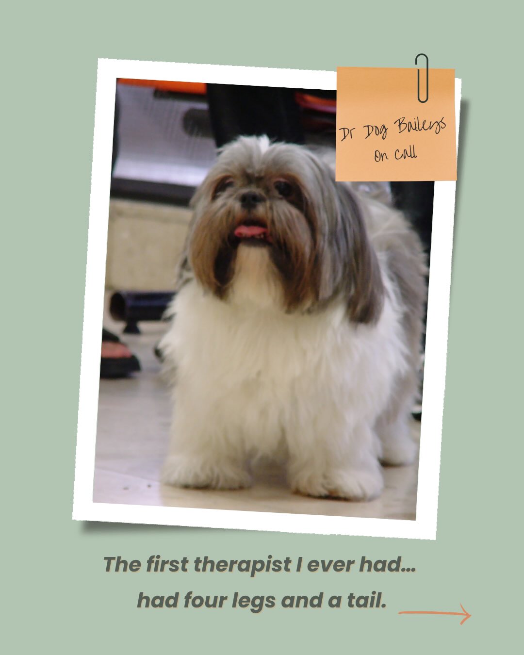We all love a good dog cuddle… but what makes a human therapist just as pawsome?
Good therapists:
✨ Listen attentively (really, really listen 🐾)
✨ Build genuine rapport
✨ Communicate clearly
✨ Show compassion and empathy
✨ Sync with your pace and energy
Baileys, my very first dog and a Doctor Dog with the Animals Asia Foundation, taught me one of the best lessons in therapy: sometimes just being present, attentive, and compassionate is the most healing. 🐶💛
(These photos were taken during his visits to hospitals, kindergartens... etc. - spreading love and comfort, one paw at a time!)
So whether they have fur or not, a great therapist is someone who makes you feel safe and heard. 💛💛💛
#Hypnotherapy
#Hypnotherapist
#Compassion
#Empathy