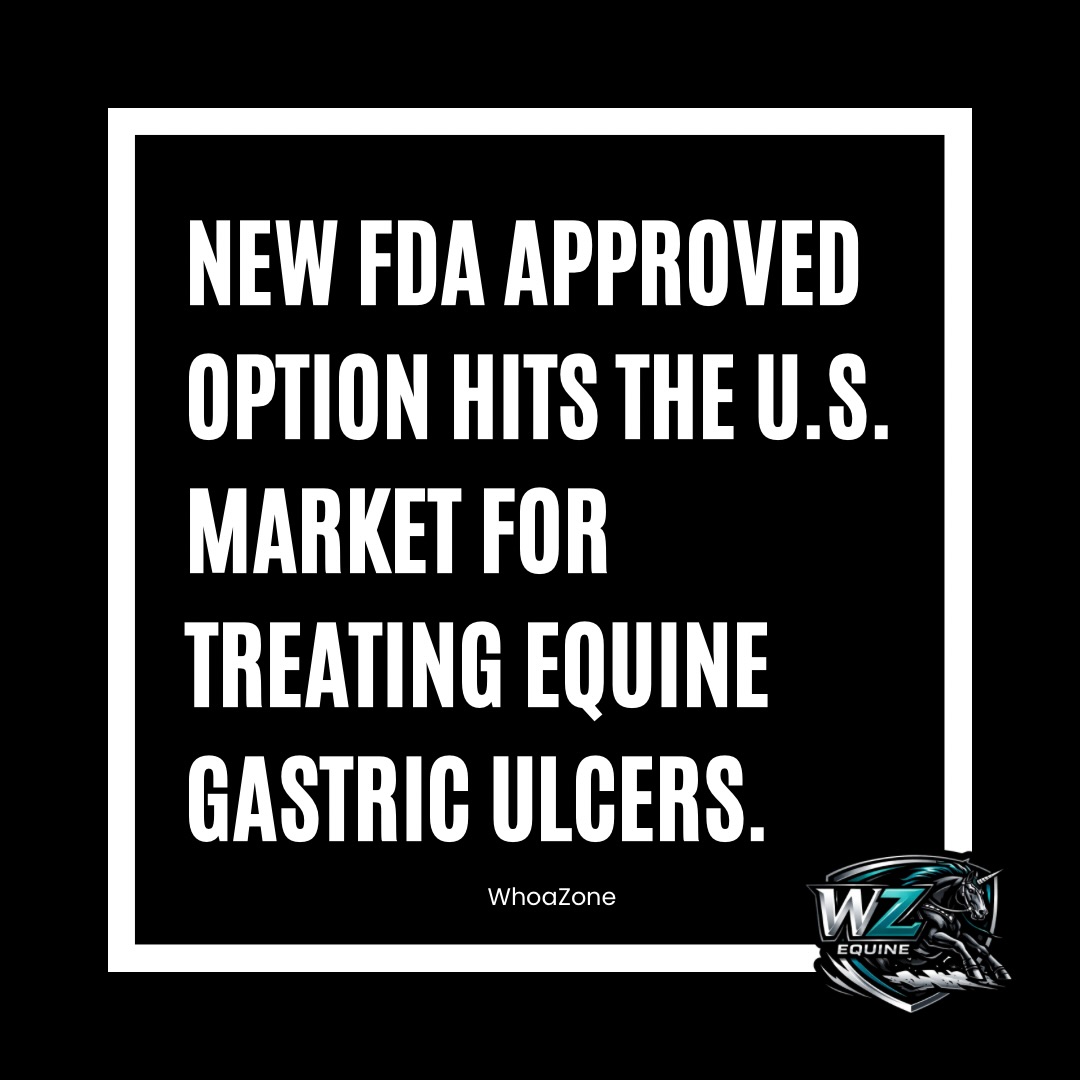 New Option Hits the U.S. Market for Treating Equine Gastric Ulcers
Bimeda has announced the upcoming U.S. launch of Gastrobimโข (omeprazole), the first and only FDA-approved bioequivalent to GASTROGARD for treating and preventing gastric ulcers in horses and foals 4 weeks of age and older.
This marks a significant development for veterinarians, trainers, and horse owners managing Equine Gastric Ulcer Syndrome, one of the most common conditions impacting performance horses today.
Already launched internationally in 2022, Gastrobim has quickly gained traction in Canada and Europe, becoming one of the fastest-growing omeprazole products on the market. Its global success is backed by strong veterinary adoption and proven effectiveness in healing gastric ulcers.
According to Bimeda, the U.S. release aims to provide a clinically equivalent, high-quality, and more accessible treatment option, helping expand availability for horses across all levels of competition and management programs. The product is also apple-flavored, designed to improve ease of administration.
Gastric ulcers continue to be a major concern in the equine industry, often presenting through reduced appetite, behavioral changes, discomfort, and decreased performance. The introduction of a bioequivalent alternative gives horsemen another tool to support both health and longevity in their programs.
With this launch, Bimeda reinforces its commitment to delivering cost-effective, science-backed solutions to the equine market while addressing one of the industryโs most widespread health challenges.
For more info visit: www.Bimedaus.com
#horsesofinstagram #horselove #horselife #equestrian #equine