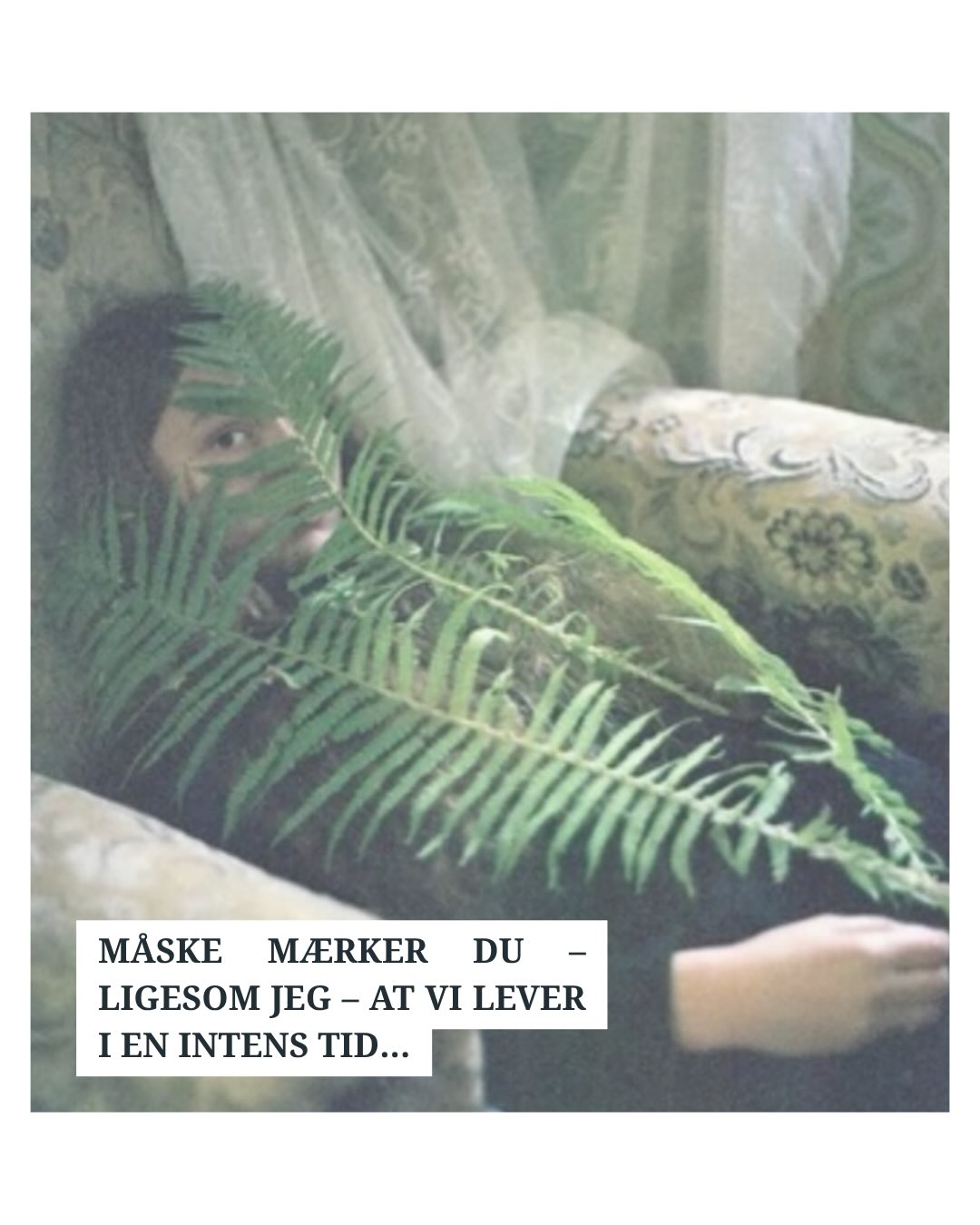 🌿 Pas på dig selv - og hinanden…
Kærligst,
Pernille
Billede via @maritbeer
______________________________________
#nervesystemet #mentalro #naturligbalance #hverdagsrutiner #findro