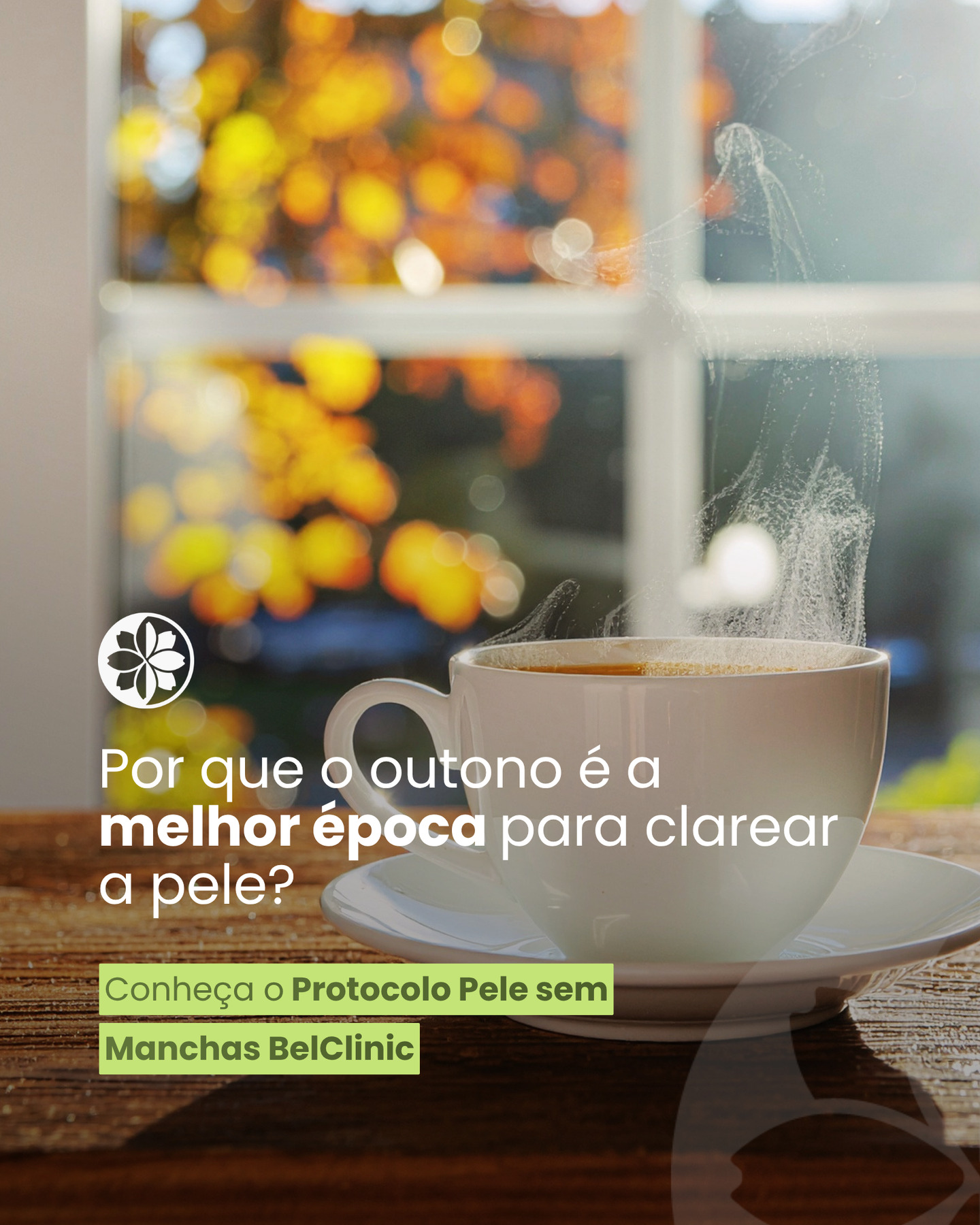 Se existe um momento certo para tratar manchas, esse momento é agora.
O outono é considerado a melhor estação para iniciar o clareamento da pele porque há menor exposição solar e, consequentemente, menos risco de sensibilização e surgimento de novas manchas.
Além disso, a pele tende a responder melhor aos ativos, tornando o tratamento mais eficaz.
O Protocolo Pele sem Manchas BelClinic combina ativos que atuam na uniformização do tom da pele, na melhora do aspecto de manchas e na recuperação da luminosidade.
✨ Você ganha o Illumina para potencializar seus resultados
na compra do protocolo (DermaBlanc N + Vitamina C+).
O que é o ILLUMINA?
Sérum despigmentador com nanocápsulas de Kójico, um ativo despigmentante de origem natural, originário da fermentação natural do arroz. Atua em diferentes níveis de inibição, redução, interferindo na biossíntese da melanina(redução de manchas e tratamento de melasma). Como não é fotossensível não causa alergia nem danos à pele.
💚 Comece no momento certo.
Acesse o link da bio para saber mais.
