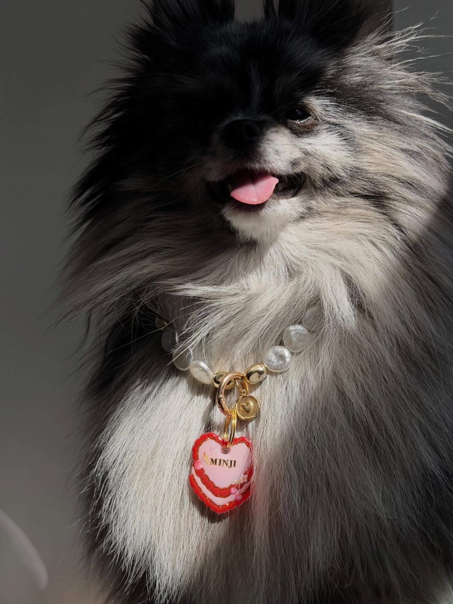 WOOW 👀✨
Je suis tellement fan de ces photos ! Minji et Vinny ont sublimé mes médailles comme de vrais mannequins canins : pose impeccable, rayon de soleil parfaitement maîtrisé… on sent les pros qui savent exactement comment faire craquer leur public contre quelques friandises ! 🍒🥥✨
#medaillechien #accessoirechien #medailleenresine #resin #dogaccesories