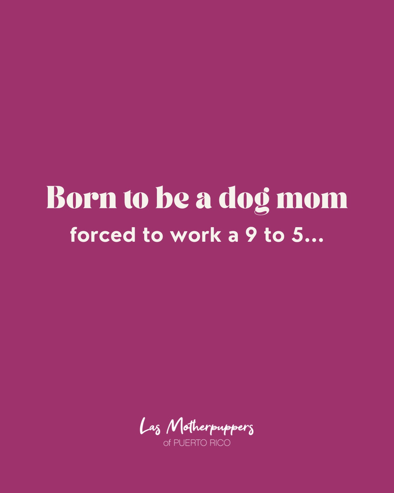 True Story... 😅
🛒 www.dogmomsofpr.com
#dogmomsofpr #puertorico #dogmomclub #dogmomquotes #dogmomlife