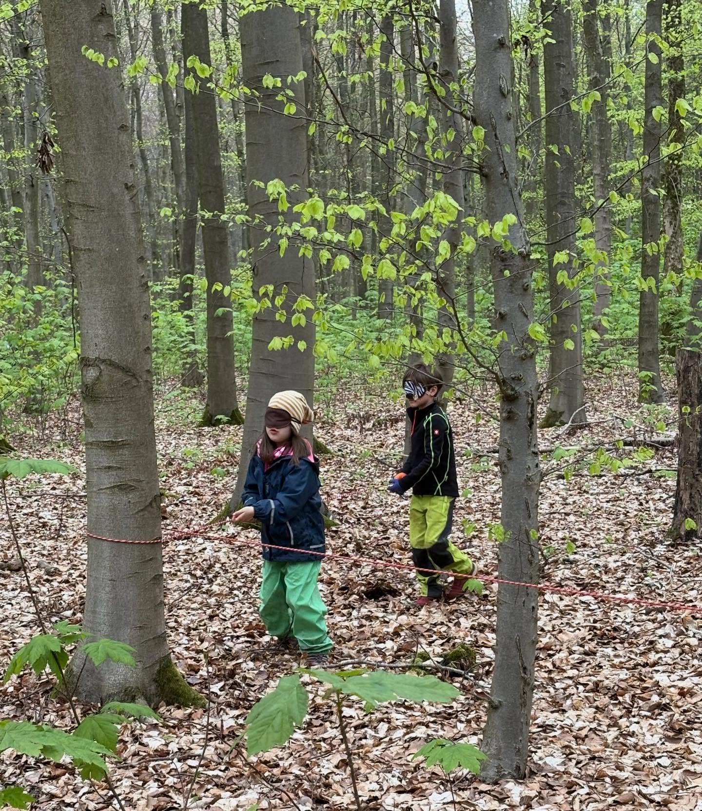 Beim Schuki Projekt gestern ging es durch einen dunklen Zauberwald. Ganz auf ihre Sinne und ihren Partner verlassend mussten die Kinder durch den Wald finden und gemeinsam als Helden versuchen Feuerwanzi zu retten und dafür verschiedene Aufgaben bewältigen.