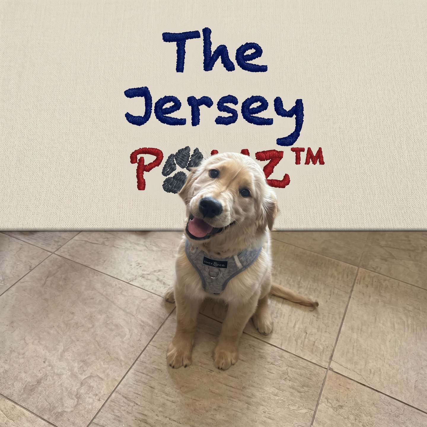 A special visit from a new pupstomer - Trixie. We almost burned the treats we were baking because we were so distracted by the cuteness. #extendtheirstay #feedthemfresh #madeinnewjersey #shoplocal #millstonebusinessalliance