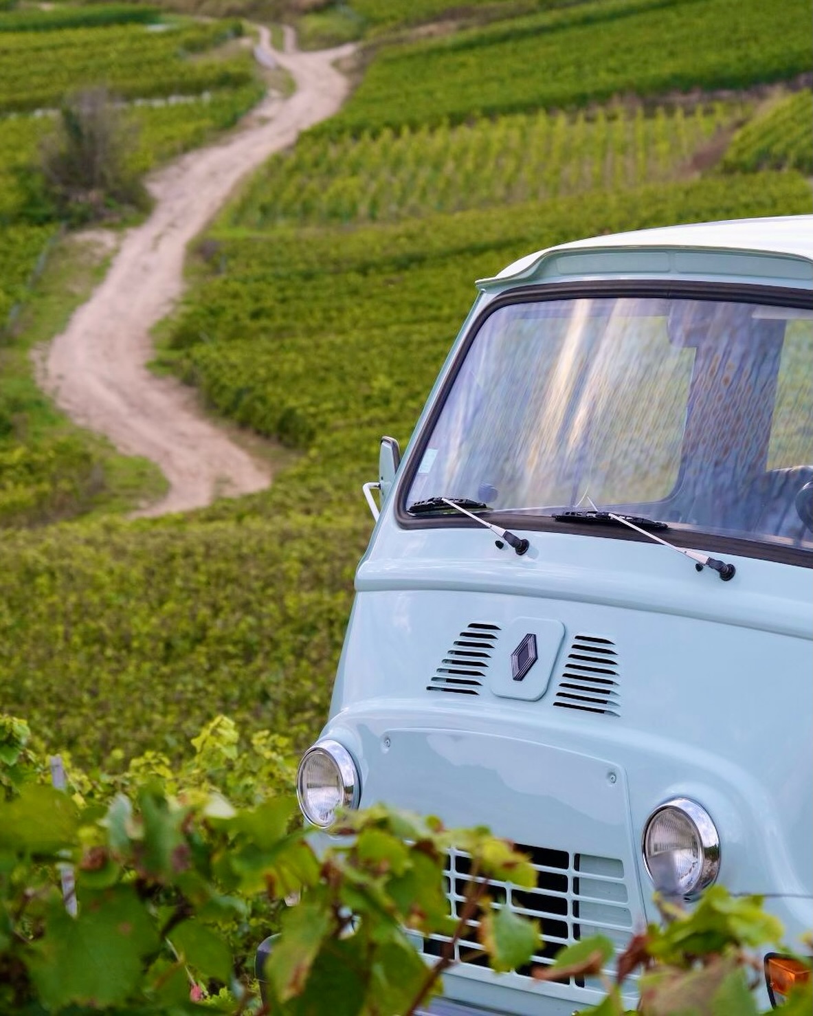 Tra le vigne, dove tutto ha inizio.
Strade che raccontano territori, incontri e scoperte 🍇
