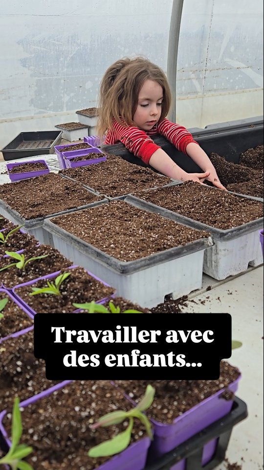Peut-être que certains se reconnaîtront…
pas nécessairement en agriculture, mais dans plein d’autres réalités.
On se le fait dire souvent qu’on est chanceux de travailler avec nos enfants.
Pis oui… on l’est. On les voit grandir sous nos yeux. Ils sont là, dans notre quotidien, dans notre réalité.
Mais en même temps… c’est pas toujours simple 😅
Parce que c’est aussi la fatigue qui s’accumule,le feeling de jamais être à 100% nulle part.
Jamais complètement parent.
Jamais complètement entrepreneur.
T’es avec eux… mais t’as la tête ailleurs.
T’es dans la job… mais ton cœur reste accroché à eux.
Pis souvent, tu te poses la question :
“Est-ce que j’en fais assez?”
Comme parent… comme entrepreneur?
C’est un drôle d’équilibre. Beau… mais demandant.
Malgré tout, on le sait qu’on est privilégiés de vivre ça. On ne changerait rien.
Parce que dans ce chaos-là, il y a quelque chose de rare... Une enfance ancrée dans le vivant...avec nous 🩷