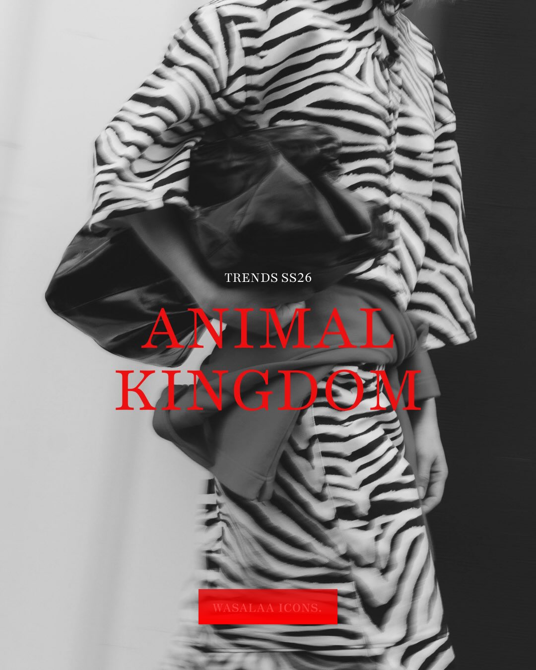 Wielki powrót zwierzęcych printów!
Na przestrzeni lat motyw zebry wracał do naszej kolekcji wielokrotnie, w różnych odsłonach.
A wkrótce pojawi się