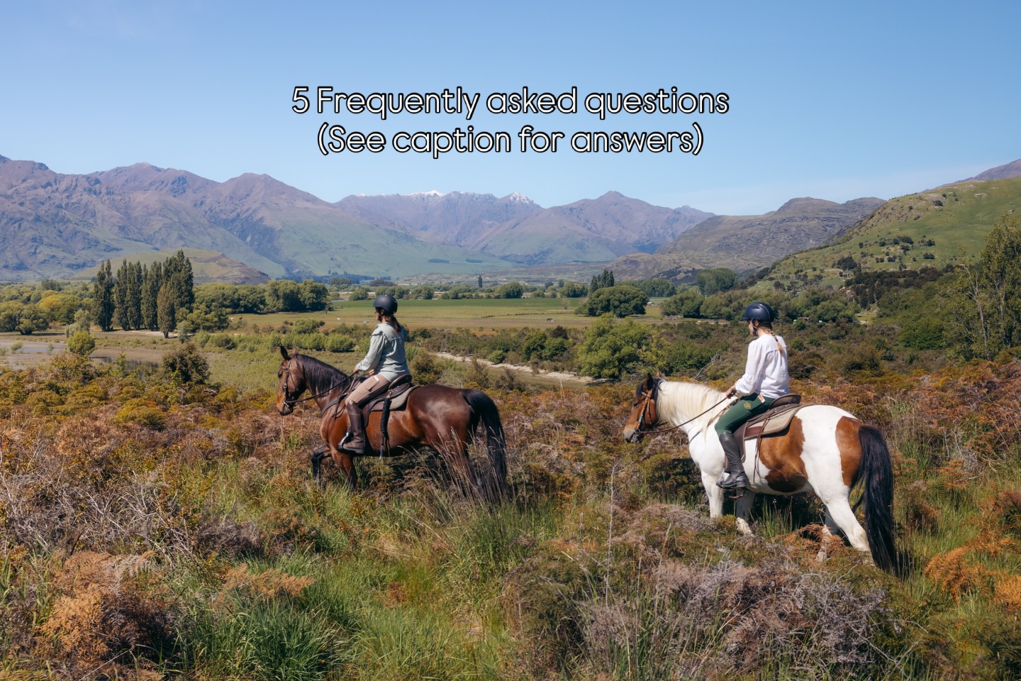 1. When is the best time to swim with horses? The best time I would say is Dec - April. However if there is a Northerly wind during summer (which we had A LOT last summer) then the lake is like an ocean and you don’t want to swim then. Keep in mind also that even during summer the lake is only about 16-19 degrees. So always quite cold!
2. Do you still ride if it rains? If it is raining a bit then yes! We have amazing raincoats for you covering you from shoulders until knee, and they keep you warm and dry. If it is bucketing and pouring down we cancel. It is so hard to predict the weather, but I have become an experienced weather woman. If we are unsure we let you arrive and hope for the best, or if it doesn’t look like its gonna change for the better we will leave the decision up to you. We don’t make you ride in the rain, we want you to have a nice experience. If you’ve booked a big ride then we offer to do a short one instead (if the weather allows).
3. What do your provide? Here is what we provide: helmets, the horse and gear, waterproof coats, lunch on the big rides, and we have a few gloves for winter time. You need to bring the right clothing, shoes, towel, swimming wear, water bottle, and a happy mood.
4. Can I ride the big beautiful grey? Yes you can request a horse! Please write it in the extra information when you book. We can’t promise of course but we will absolutely do our best.
5. What is the address? We are not located at an address, so please use Google Maps to find us. You can type in “Wanaka Horse Trekking” and it will bring you to our spot. At the end the road does go forward or right. Make sure to turn right here. There is a sign with an arrow, but sometimes people still miss it.
These photos are from the amazing Chelsea when she visited last summer @chelseakauai
.
.
.
.
.
#frequentlyaskedquestions #horseridenewzealand #newzealandhorses #horseridingholiday #horsetrekking