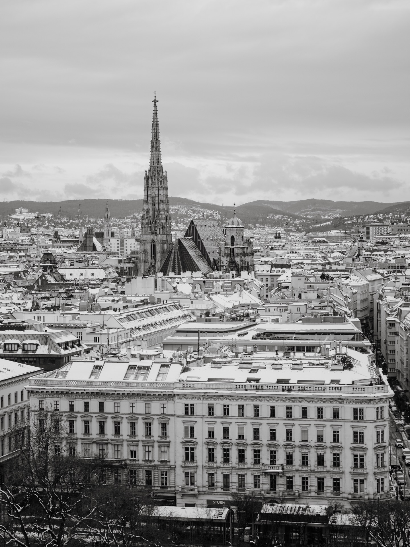 In Wien zu heiraten bietet die größtmögliche Vielfalt an detailverliebten Kirchen, modernen und historischen Locations sowie Bars und Clubs für den Ausklang der Party.
Foto @jakobresch.studio
#viennawedding #viennaweddingplanner #austriawedding #heirateninwien #hochzeitsplanerinwien