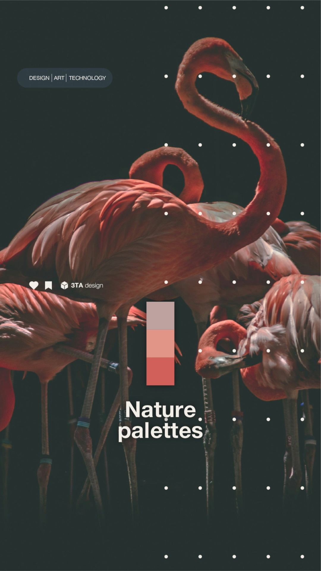 Architecture found in nature. Deconstructing the palettes that define the visual world. #3tadesign n #VisualStrategy #branding