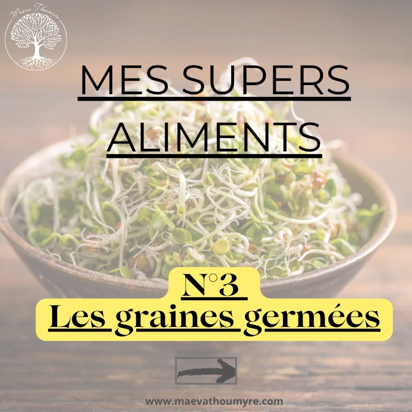 La série des supers aliments continue avec une présentation des graines germées 🍃 !
De vraies bombes 💣de nutriments. Au contact de l'eau 💧, la germination va permettre de redonner vie ✨à ces graines jusque là inactive.
Leur teneur en acides aminés complets les rends très intéressantes pour les végétariens .
Riches en vitamines, minéraux comme le fer, elles sont très utiles pour les personnes carencées, affaiblies.
La germination va également permettre de libérer des enzymes digestives, ce qui les rends agréables même pour les intestins fragiles.
Parsemez-en tous vos plats, salades, soupes, et même sur vos salades de fruits c'est délicieux 😋
Vous l'aurez compris à la maison il y a très souvent des graines germées et même les enfants en demandent !
Alors à vos germoirs @germline.bio et envoyez moi des photos de vos petites pousses 🍃
#grainesgermées #alimentationvivante🌿🍀🌾 #alimentationsanté #naturopathedeuxsevres