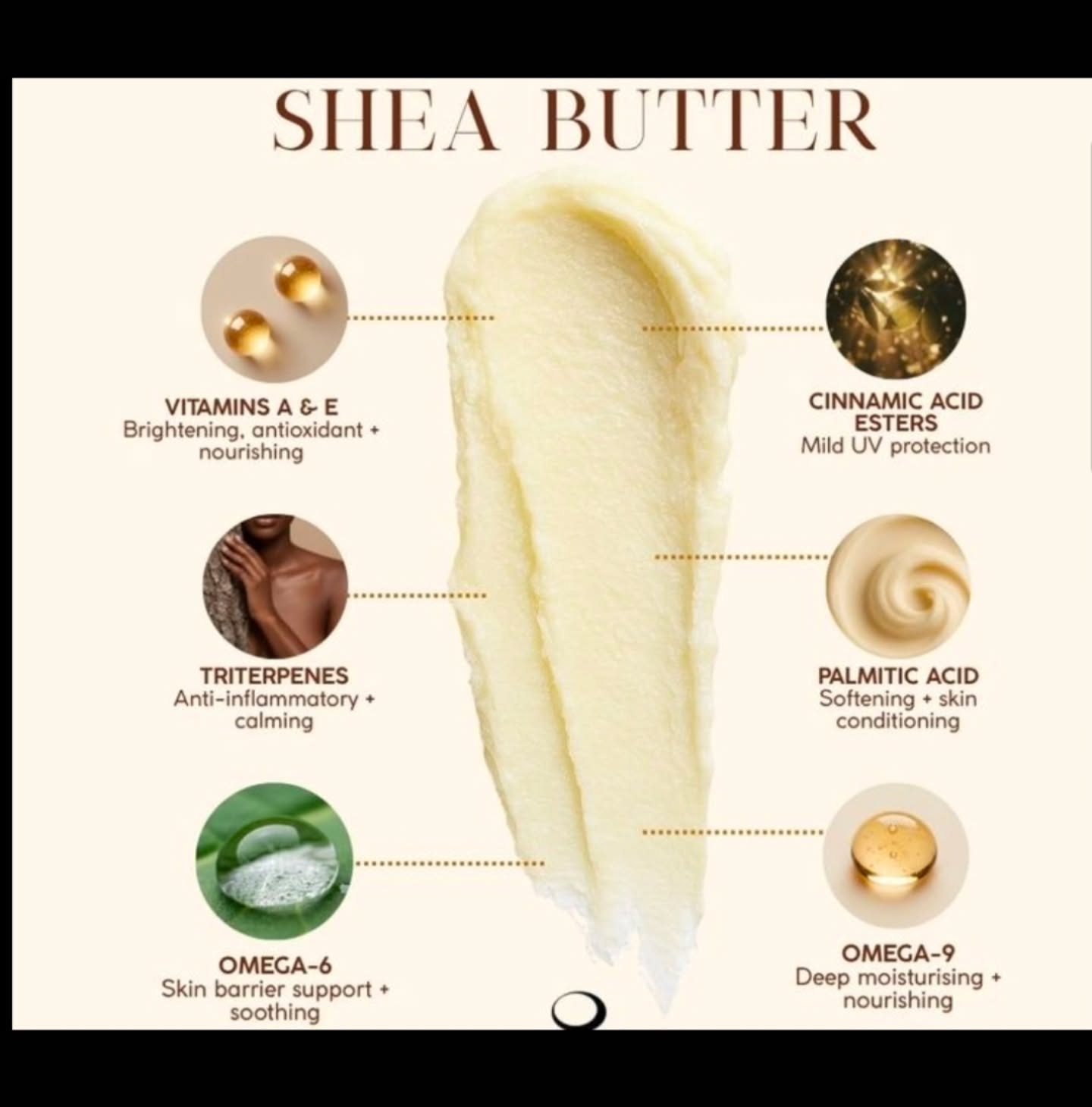 Whipped Vanilla Bean Shea Butter Locally Made available at Eden!