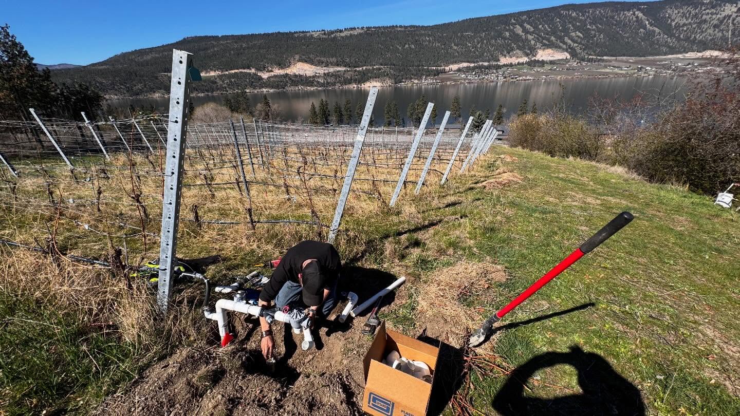 We had the opportunity to work on a project in Lake County, upgrading 30 manual valves to a fully automated Verdi system that can be controlled remotely with a cell phone. #tapcontracting