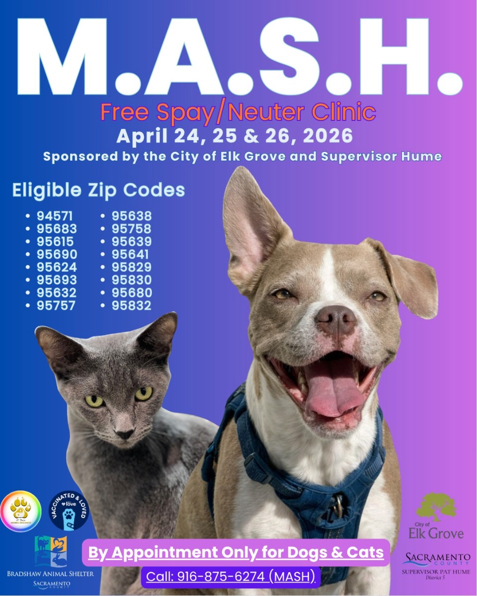 M.A.S.H. (Mobile Animal Sterilization Hospital) is offering FREE spay & neuter services for qualifying dogs and cats 🐾
By appointment only — spots fill quickly
📞 Call 916-875-6274 (MASH) and leave:
• Name
• Phone number
• Zip code
• Dog or cat + male/female
Calls are returned in order received.
Clinic Details
📅 April 24, 25 & 26
📍 3331 Peacekeeper Way, McClellan Park
Eligible Zip Codes (proof required)
94571, 95638, 95683, 95758, 95615, 95639, 95690, 95641,
95624, 95829, 95693, 95830, 95632, 95680, 95757, 95832
Requirements:
Pets must be 2+ lbs
Cats in carriers; dogs on leash or in carriers
Feral cats in traps
Limit 2 pets per person
Each appointment includes vaccines, microchip, wellness exam, and first-time license
If you’ve been thinking about getting your pet spayed or neutered, this is a great opportunity.
Sharing this helps more pets get the care they need.