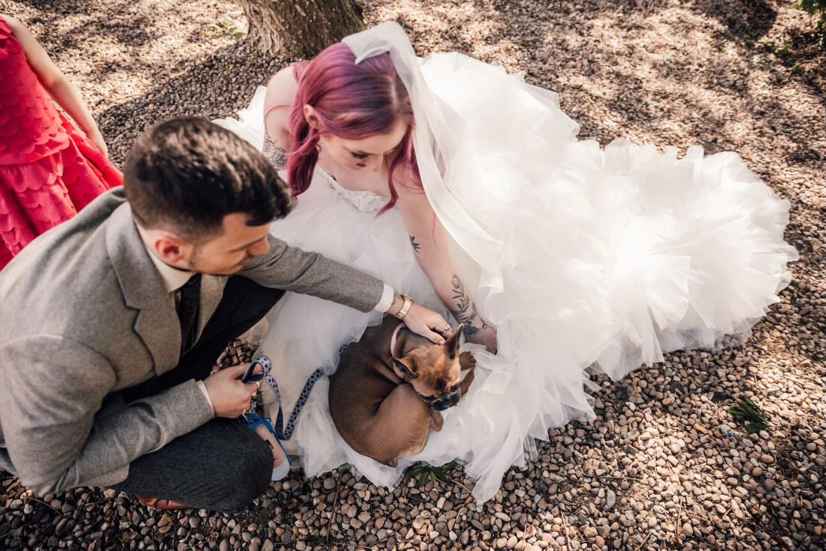 WOW! OUR BRIDE LOLA 🩷🎀🌸🌷
How stunning. Such a beautiful bride in a beautiful gown. Safe to say this bridal look was a show stopper! The beaded bodice and the layered skirt. This was certainly the bridal gown of dreams. We hope the bride and groom had the most fabulous day 🥹🥂
.
.
.
#newlyweds #bridalgown #princessbride