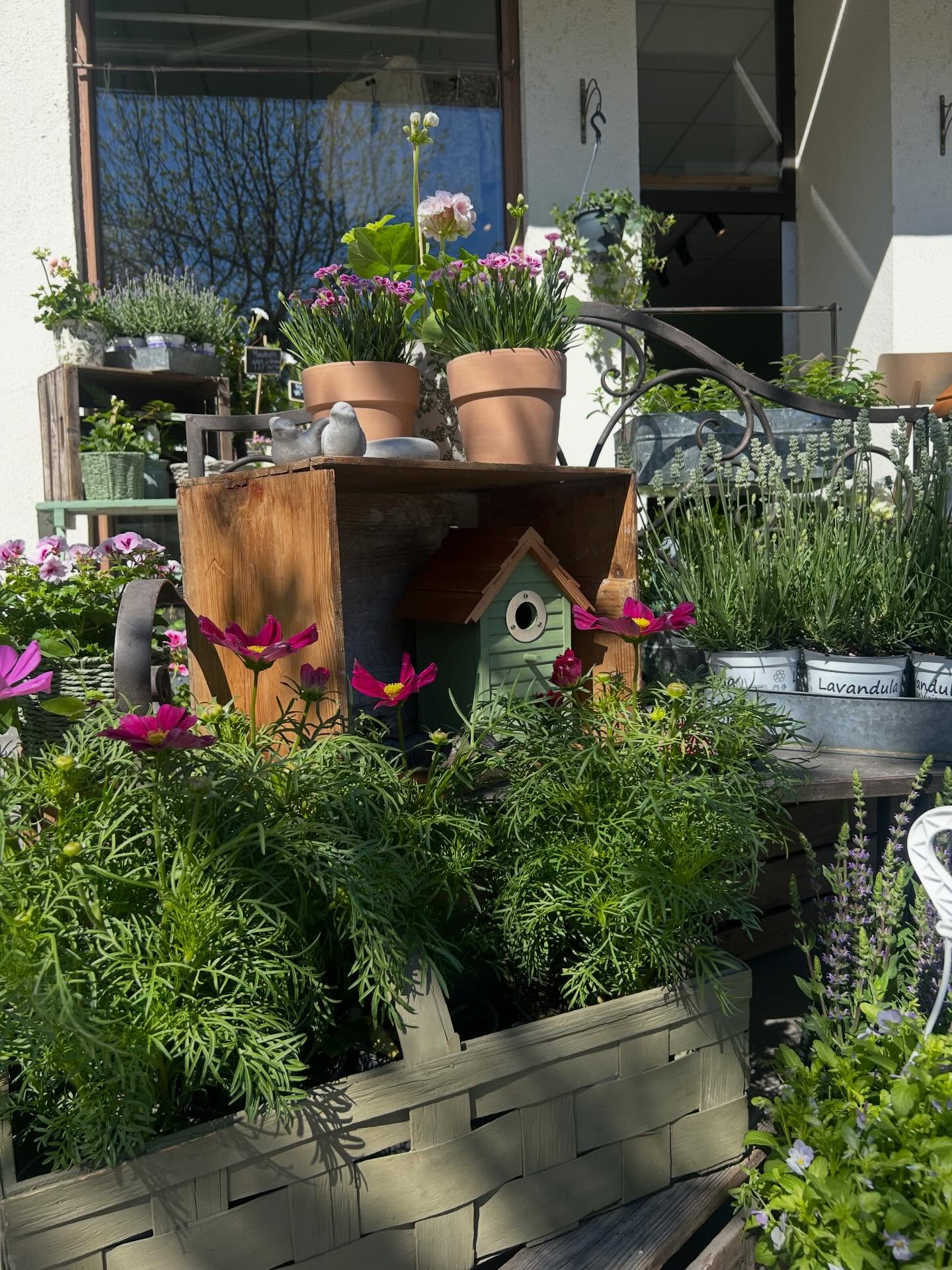Varmt välkomna denna vecka till oss på Lantliv!
🌸🌿🌻
Öppettider:
Onsdag 11-18
Torsdag 11-14
Fredag 11-16
Lördag 10-16
Söndag 11-15
