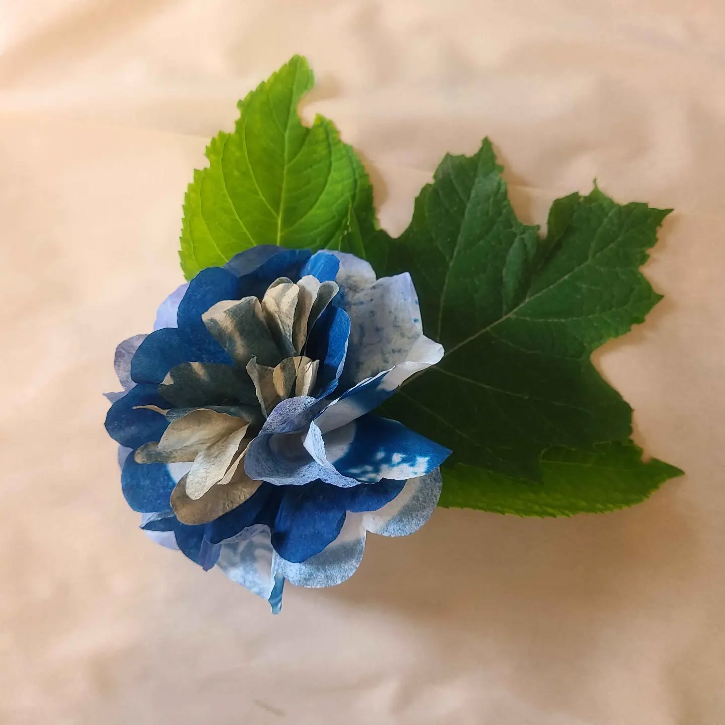 Cyanotype: May Flowers is coming up at inPrint! It happens to fall on Print Day in May and is a perfect opportunity to handmake a bouquet for the mom figure in your life (or just because you like flowers!).
Cyanotype: May Flowers
Saturday May 2, 2026
11am to 3pm
$75
With artist Amye St John
Register with link in bio or www.inprintcollective.com/join-a-workshop
In this special edition of Cyanotype, we will have a focus on botanicals, and create 3D flowers from our prints to celebrate the Spring! Make these flowers as a lovely gift from the heart for Mother's Day, or just for fun - cyanotypes make for a beautiful paper flower sculpture!
During this workshop you will learn how to take photos from your camera, convert to negative, then print beautiful cyanotype prints from your cherished photos. Students will also play with objects and stencils to create compositions and then turn your work into a bouquet. All skill levels welcome, we encourage everyone to join us in discovering new modes of artistic expression.
ID: An aerial view of a blue paper flower paired with a green leaf.
#PrintDayinMay #MothersDay #MothersDayWorkshop #Cyanotype #CyanotypeSculpture