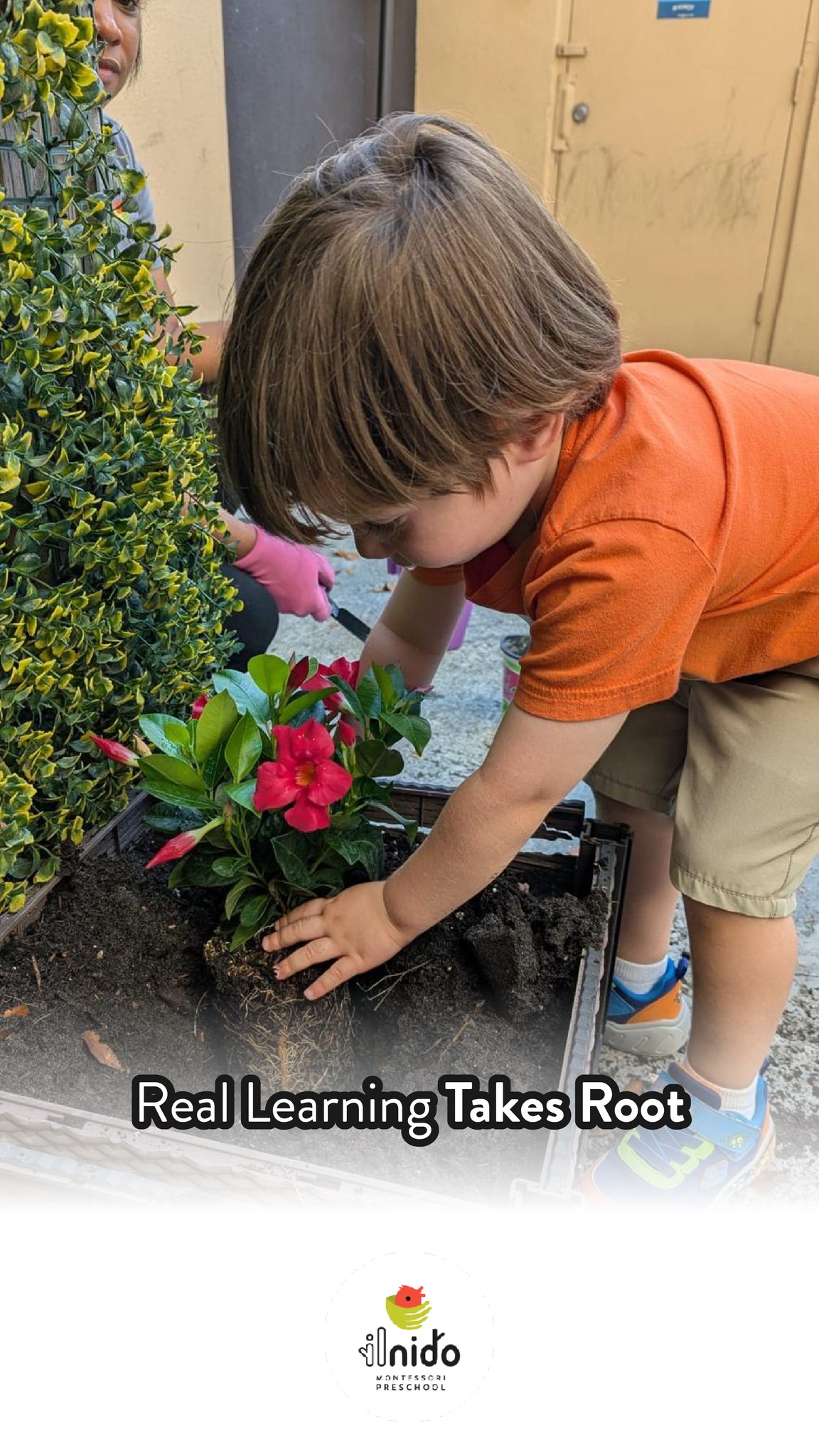 🌱 Through gardening, our children develop responsibility, patience, and a love for nature.
Every seed they plant is a life lesson: learning that beautiful things take time, care, and love. 🌸
At ilnido Montessori Preschool, the world is their classroom. 🏡
✨ Enrollment is now open at both our Sunset and Killian campuses for our Free VPK Montessori program!
.
.
.
#IlNidoMontessori #MontessoriPreschool #NaturalLearning #MontessoriGardening #EarlyChildhood #KidsAndNature #MontessoriLife #Miami #PreschoolLife #LearningThroughPlay