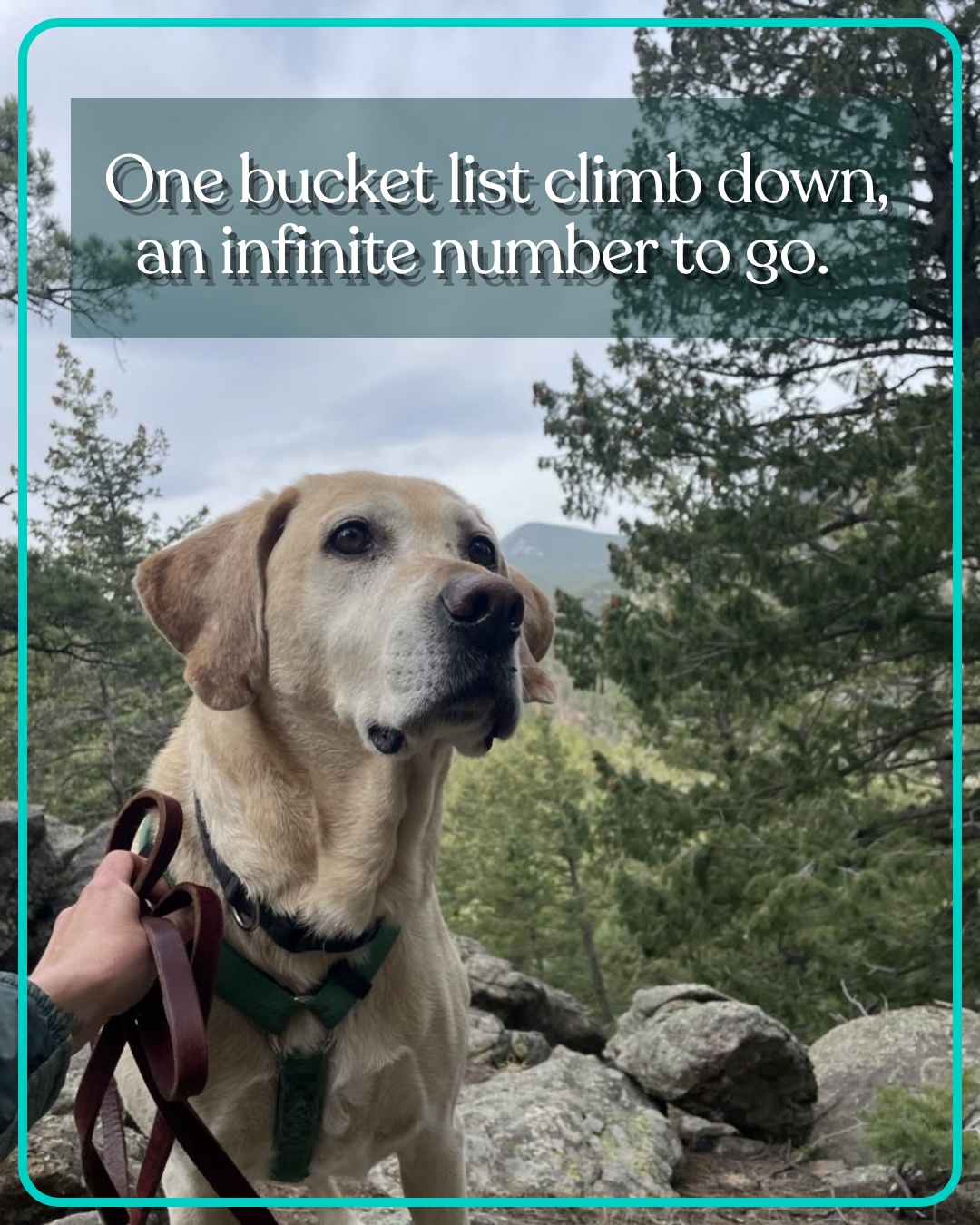 Thereโs nothing quite like a mountain climb where every step is a story. ๐พ
#Woofhoofmew #mountaindogs #dogsofcolorado #dogsofinstagram #evergreencolorado #conifercolorado #petsitting #morrisoncolorado