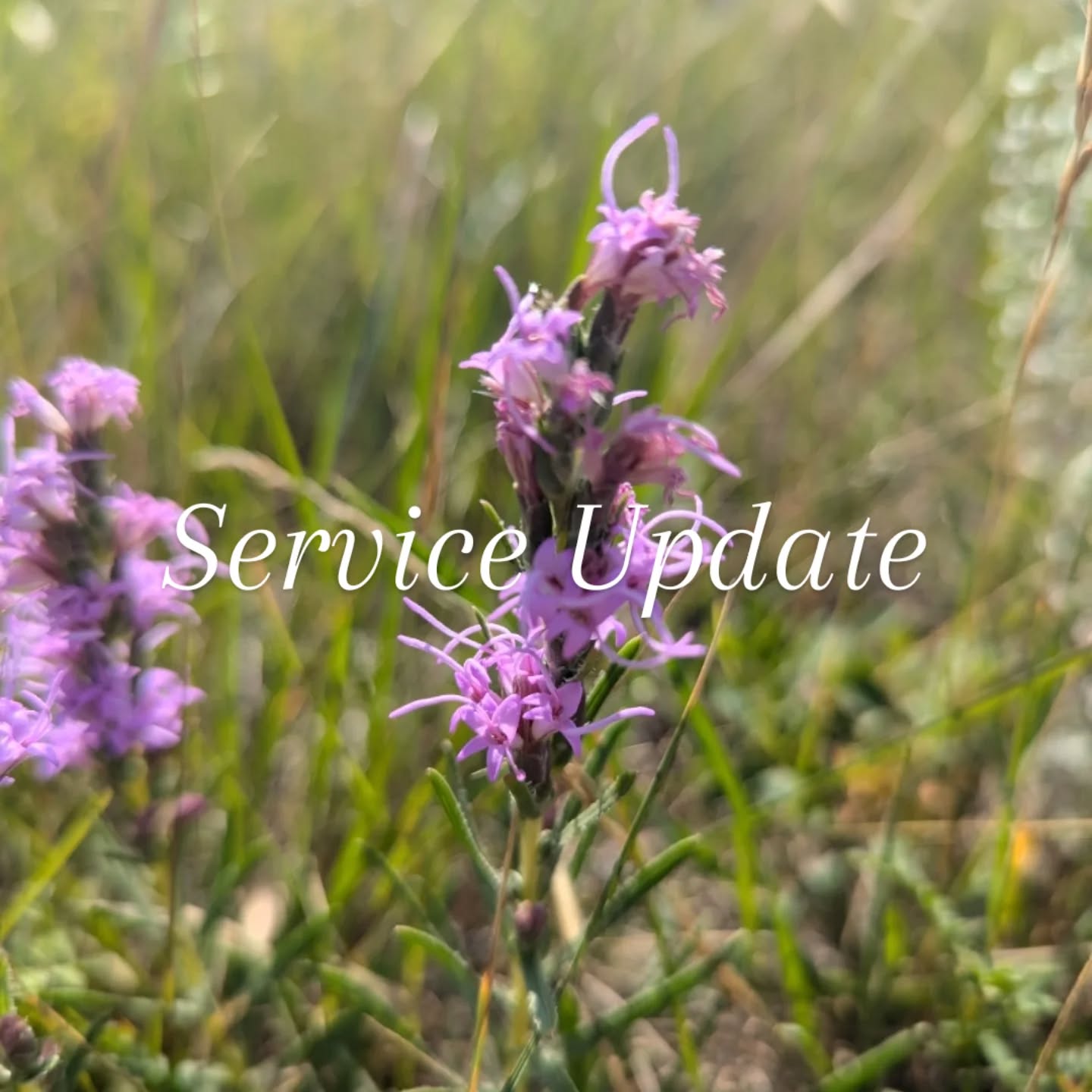 Starting in May I'll be moving all of my in-person sessions to @stoonrmt on 22nd street in Saskatoon. Online booking will be available soon!
In the meantime, a limited amount of spaces are available at The Healing House until the end of April โบ๏ธ DM for more info! Also, keep your eyes peeled for a workshop offering at THH in the coming months ๐
So much gratitude for you all, and those who come to see me in clinic. This Aries new moon was a catalyst for deep shifts and I'm so excited to see how everything continues to unfold.